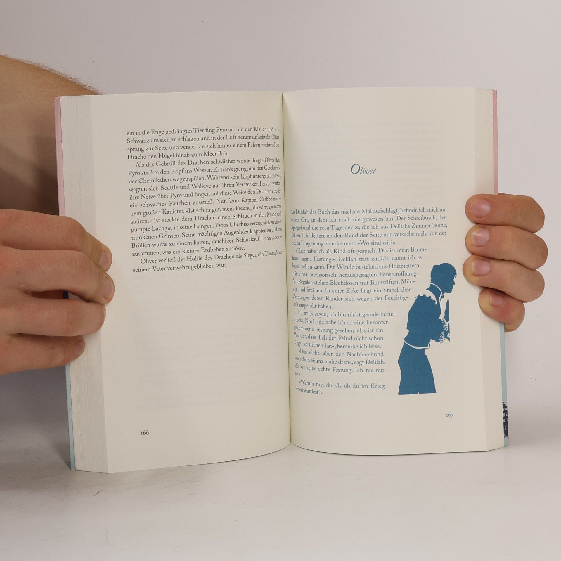 Jodi Picoult Mein Herz zwischen den Zeilen