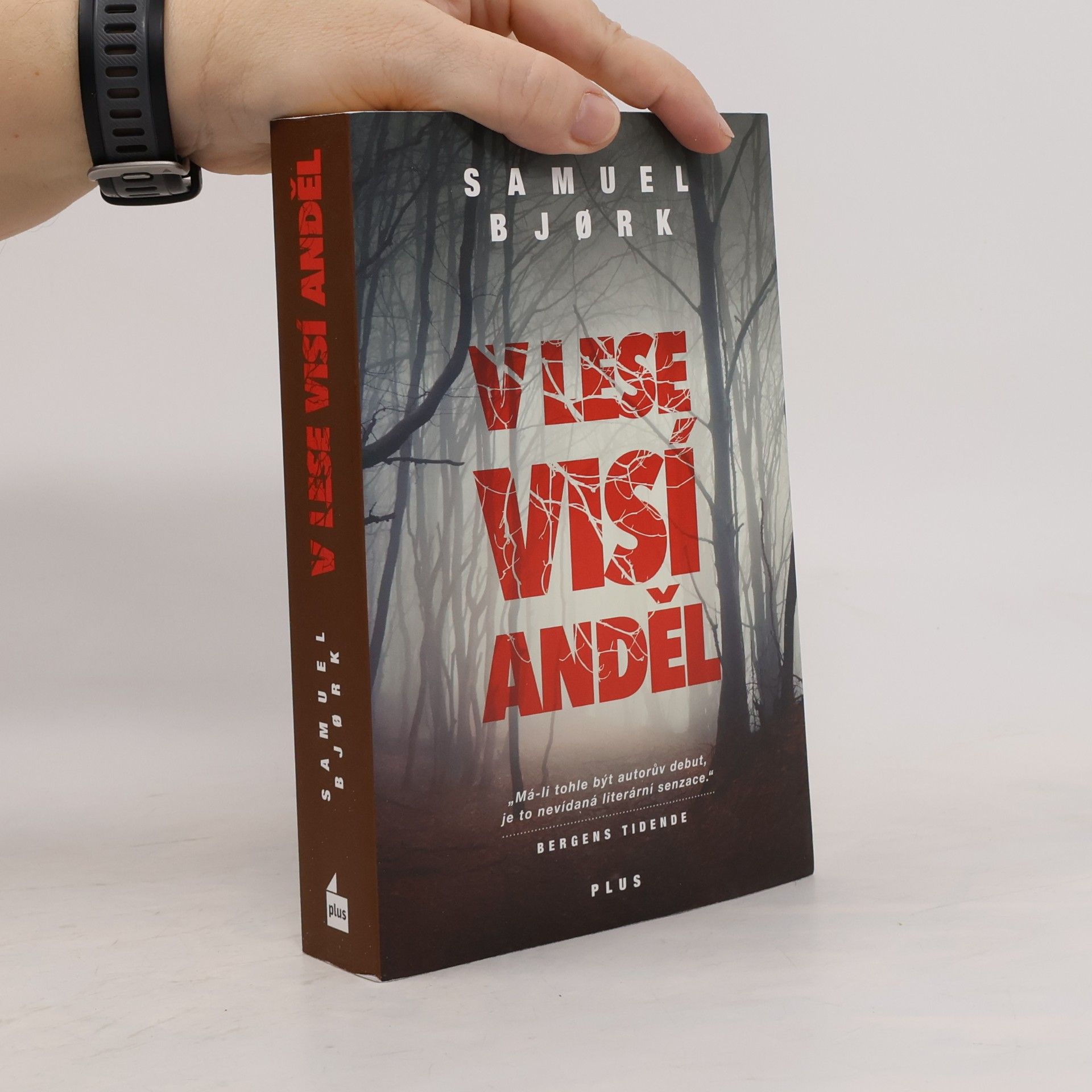 Samuel Bjork V lese visí anděl