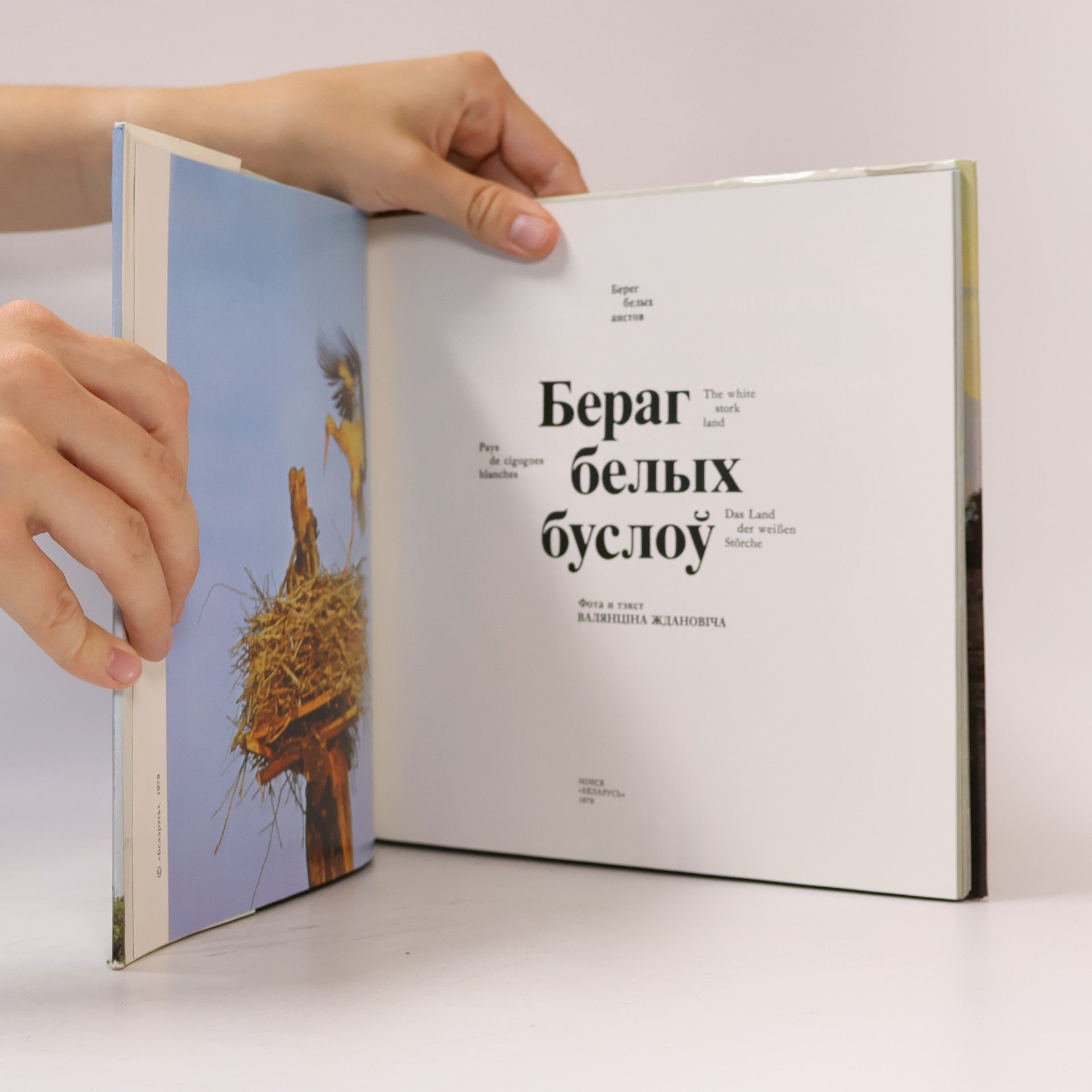 Валянціна Жданович Бераг белых буслоў