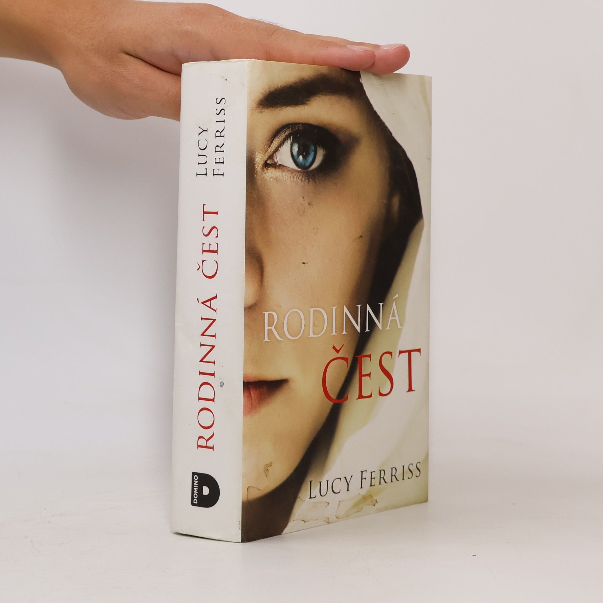 Lucy Ferriss Rodinná čest