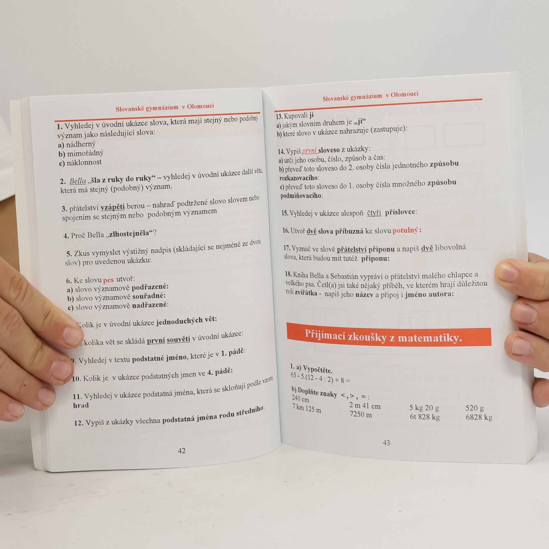 Autores varios Řešené testy nejlepších gymnázií ČR 2004