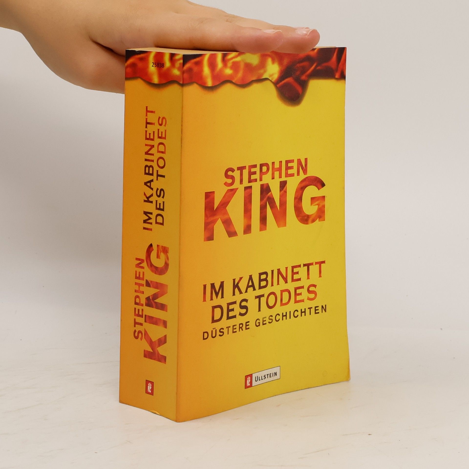 Stephen King Im Kabinett des Todes