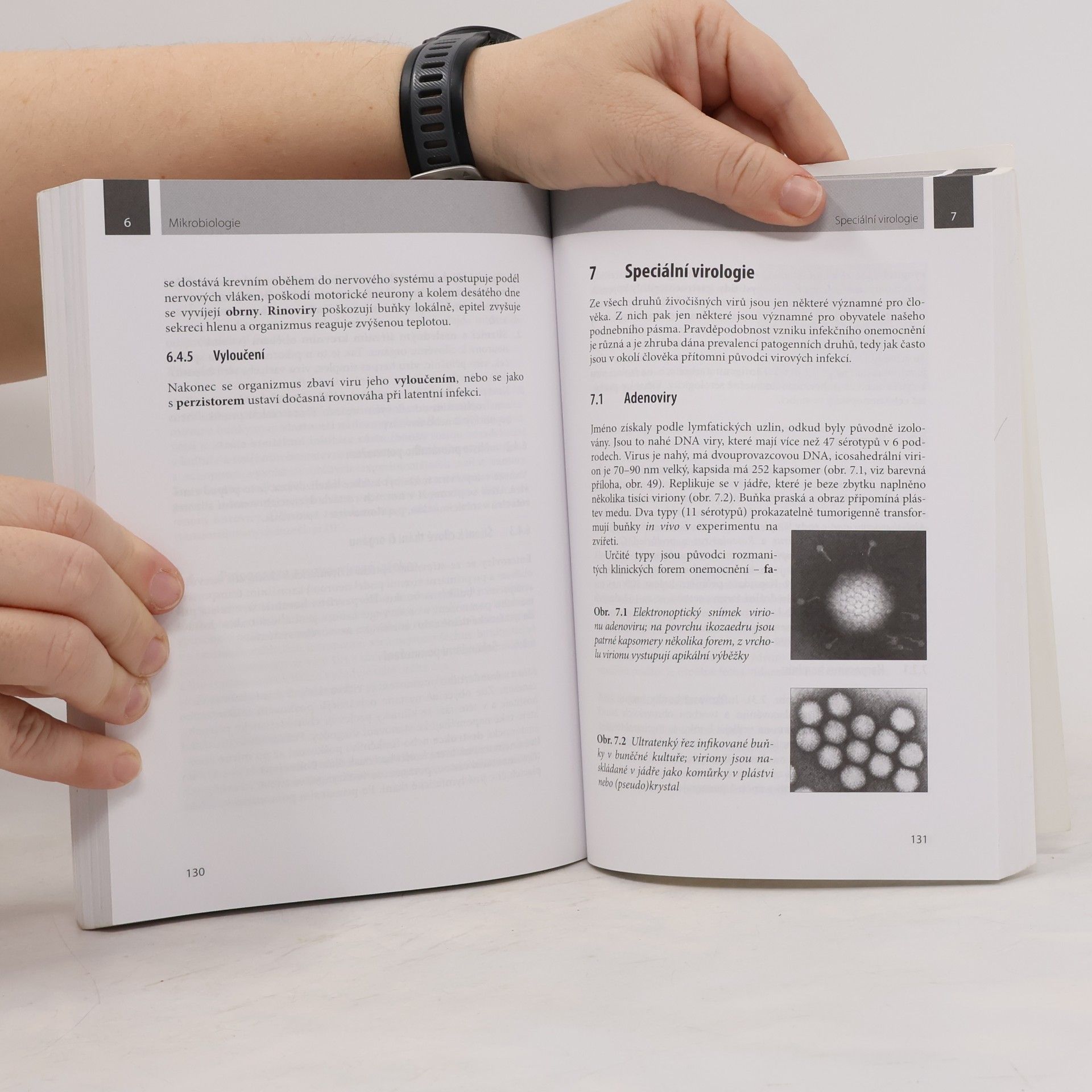 Jiří Schindler Mikrobiologie pro studenty zdravotnických oborů