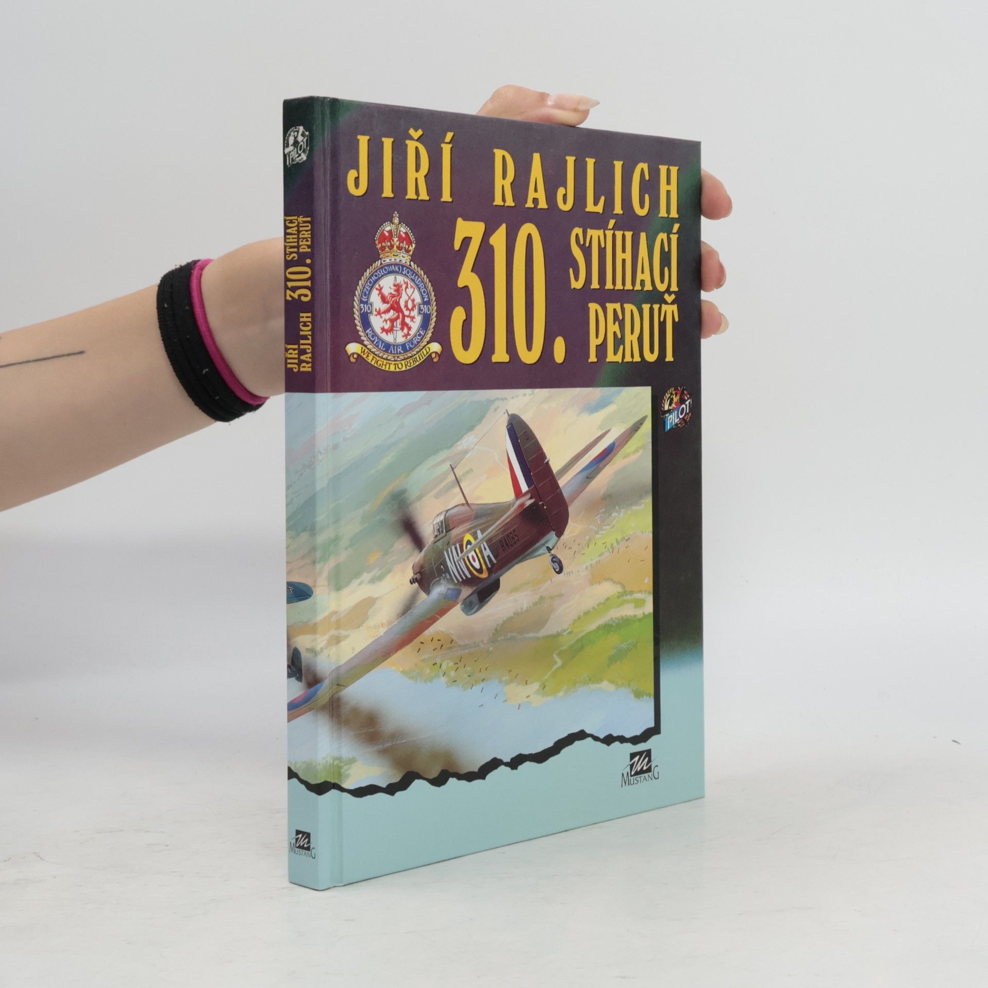 310. stíhací peruť