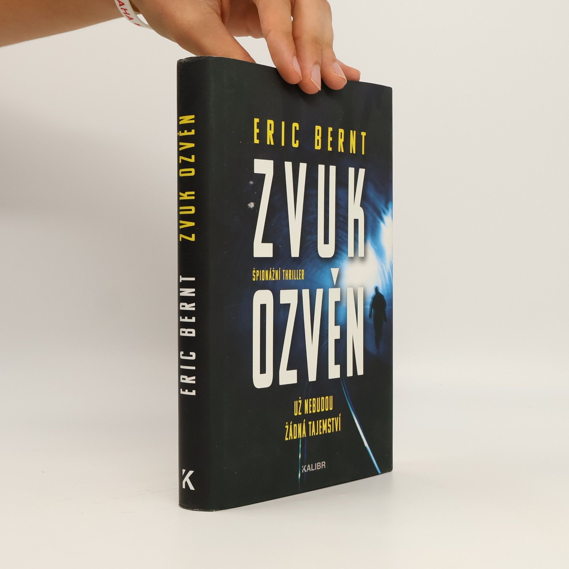 Eric Bernt Zvuk ozvěn