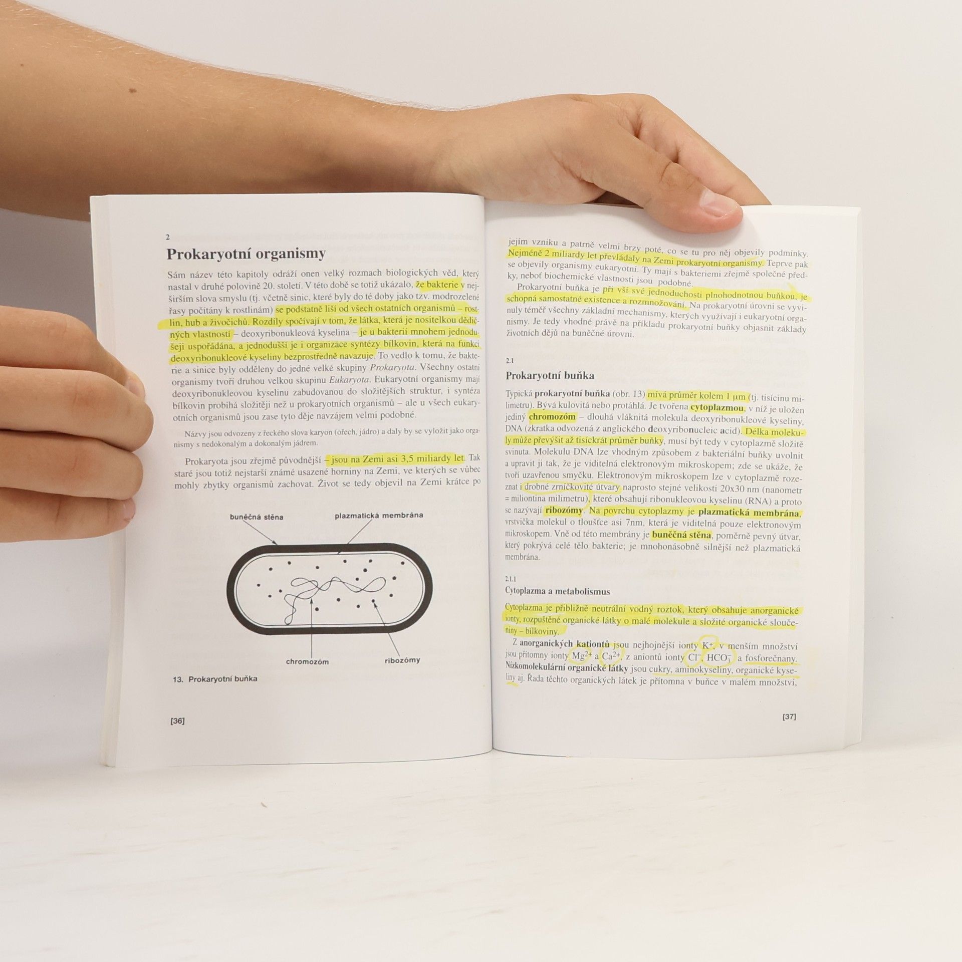 Václav Kubišta Obecná biologie. Úvodní učební text biologie pro 1. ročník gymnázií