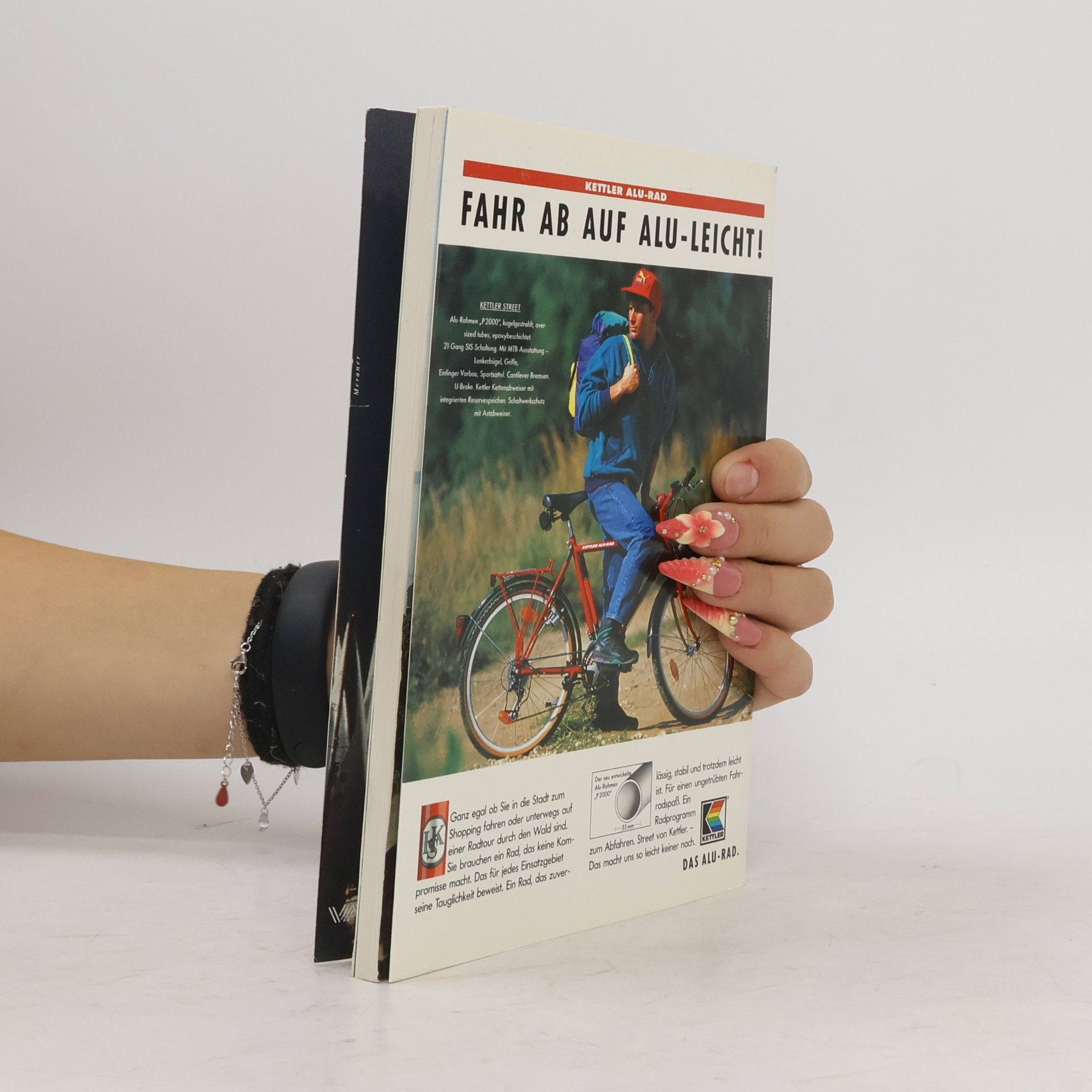 Marcel Hinze Bodensee-Handbuch Radwandern