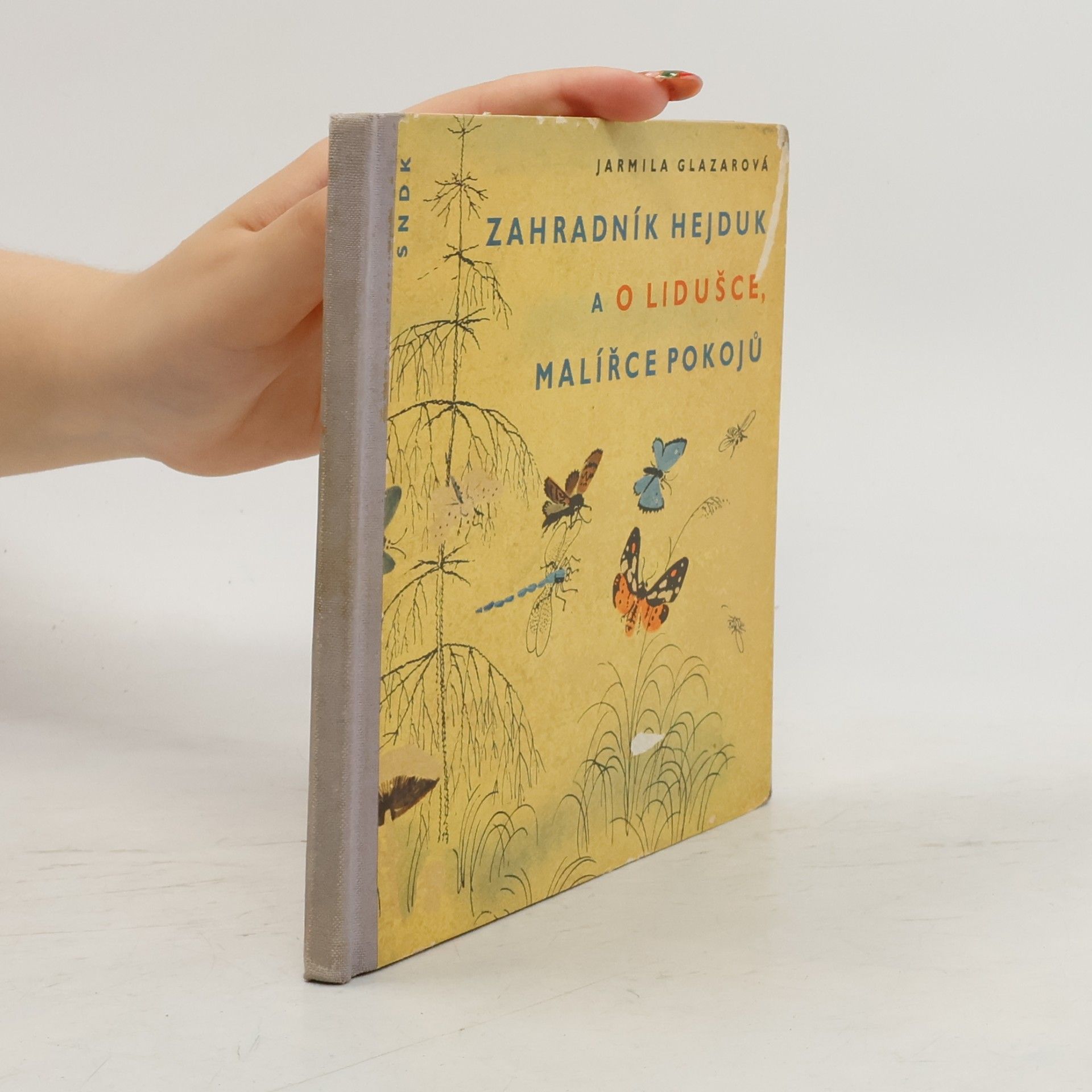 Zahradník Hejduk a O Lidušce, malířce pokojů