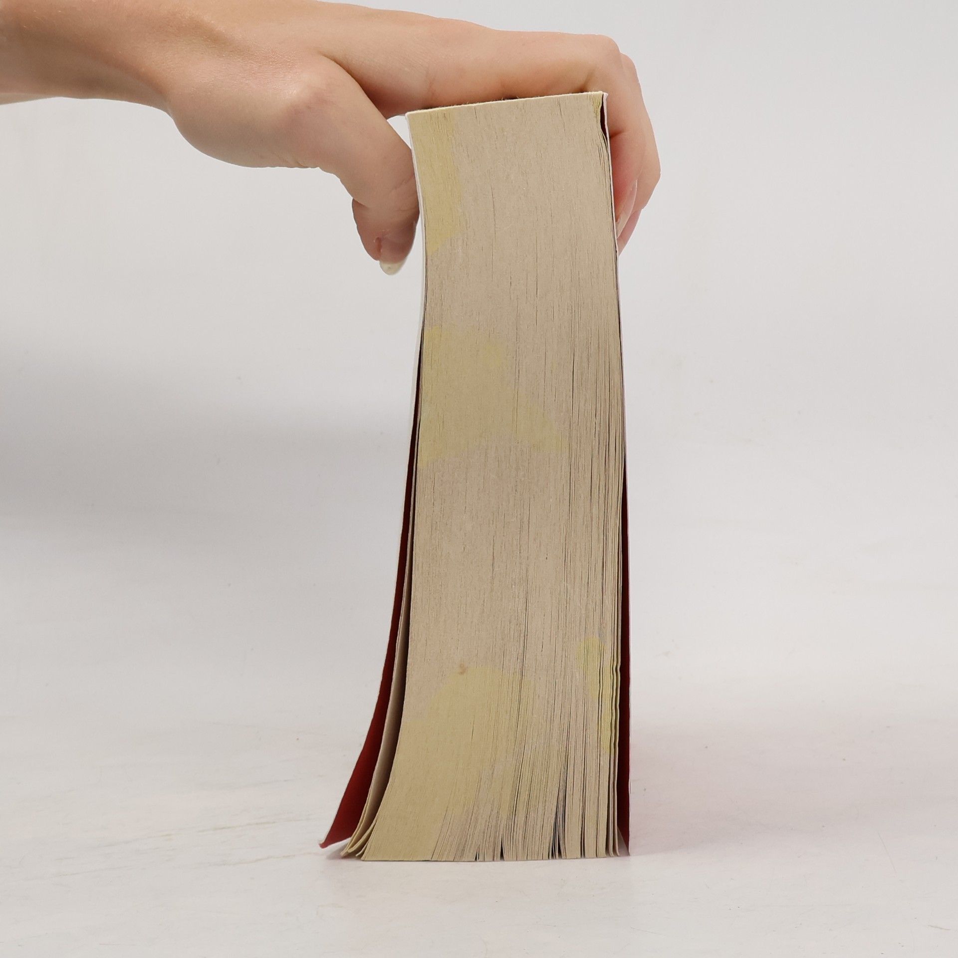 Stephenie Meyer Breaking dawn