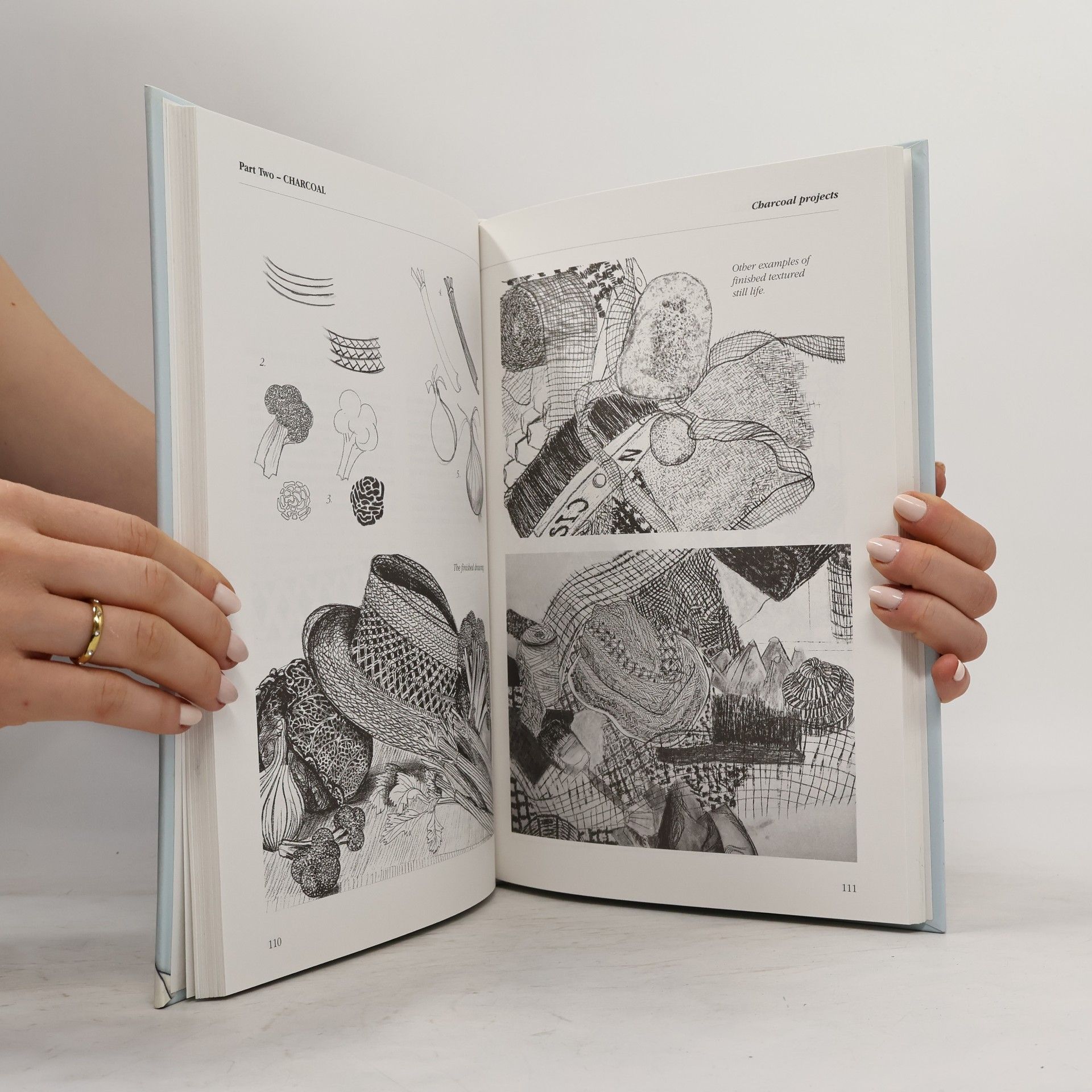 Peter William Stanyer The Complete Book of Drawing Techniques