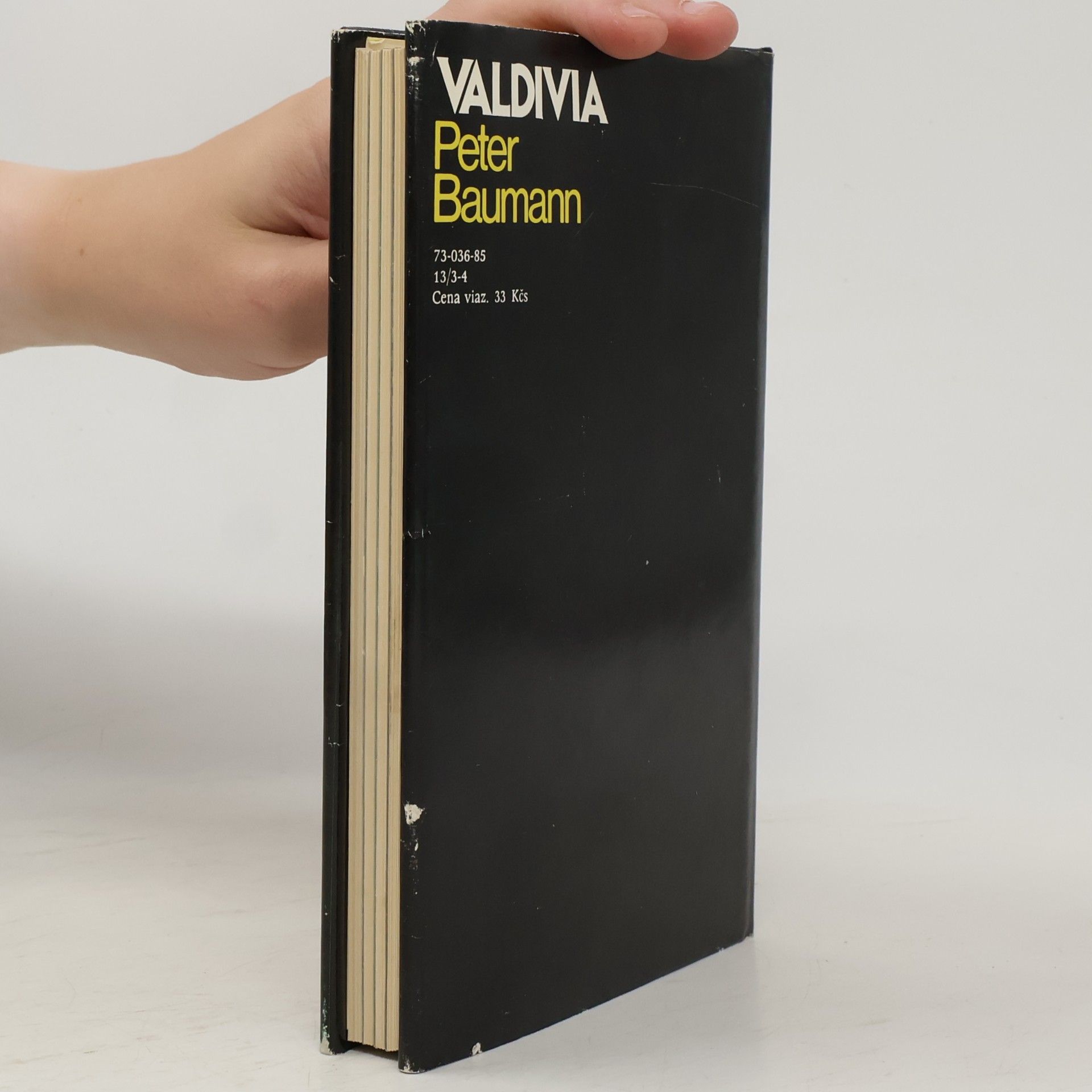 Peter Baumann Valdivia. Objavenie najstaršej americkej kultúry