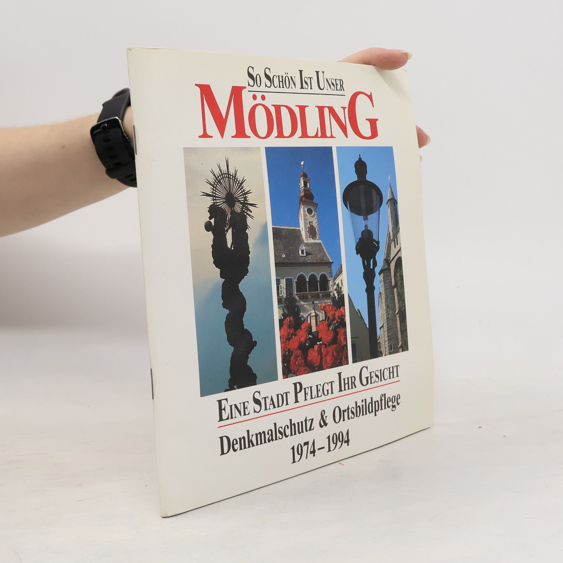 kolektiv So schön ist unser Mödling: Eine Stadt pflegt ihr Gesicht – Denkmalschutz & Ortsbildpflege 1974–1994