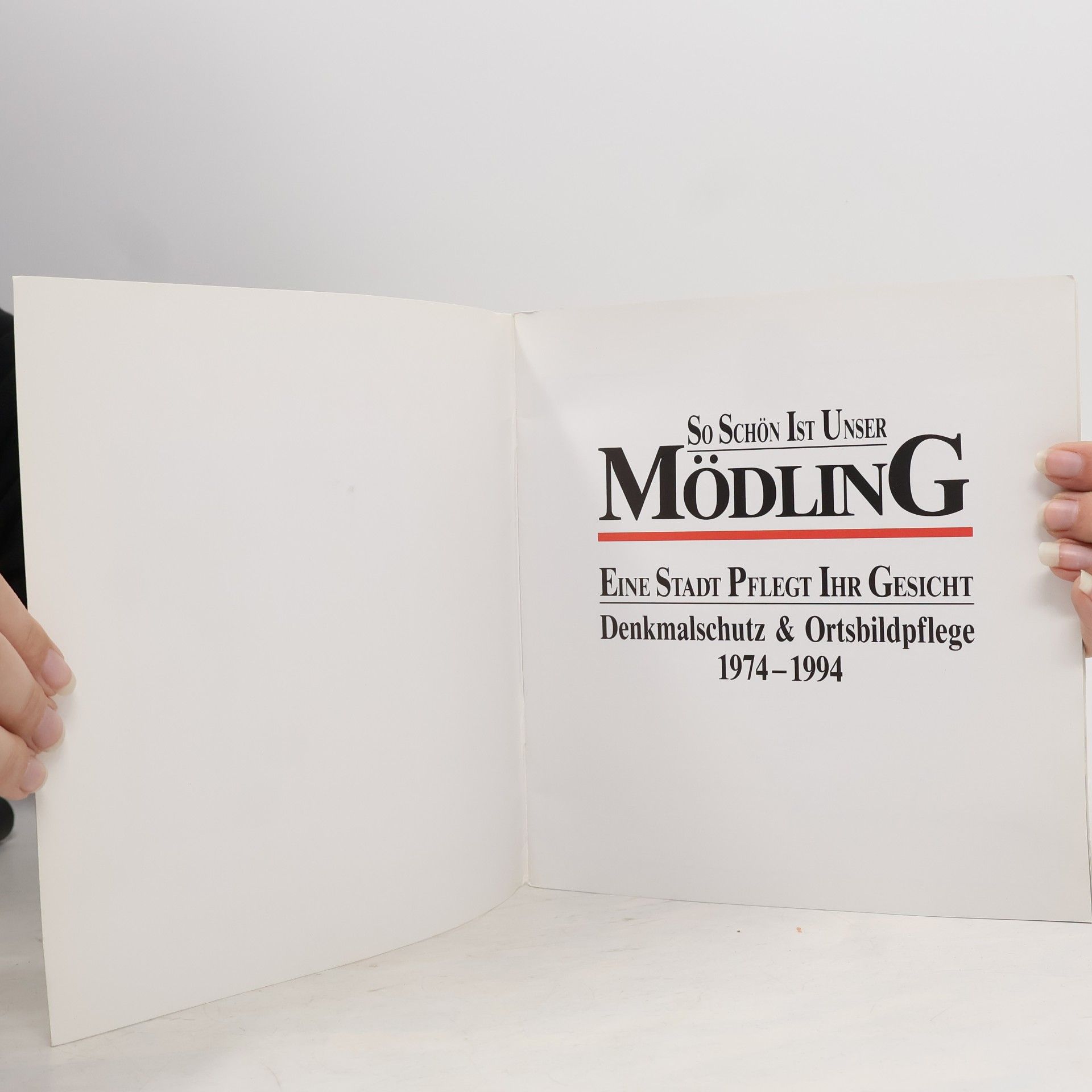 kolektiv So schön ist unser Mödling: Eine Stadt pflegt ihr Gesicht – Denkmalschutz & Ortsbildpflege 1974–1994