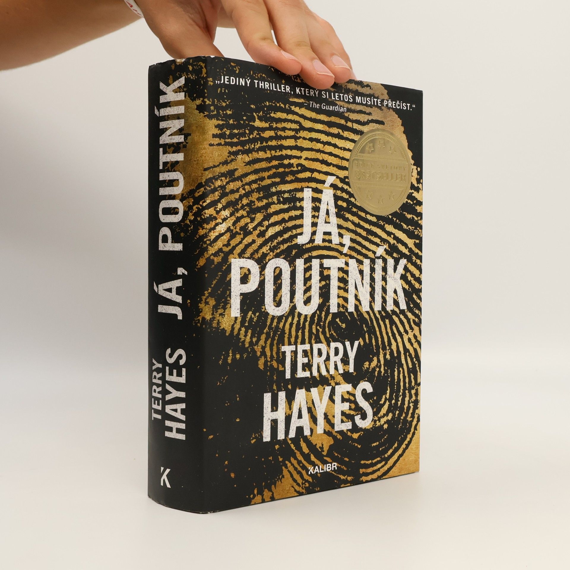 Terry Hayes Já, Poutník