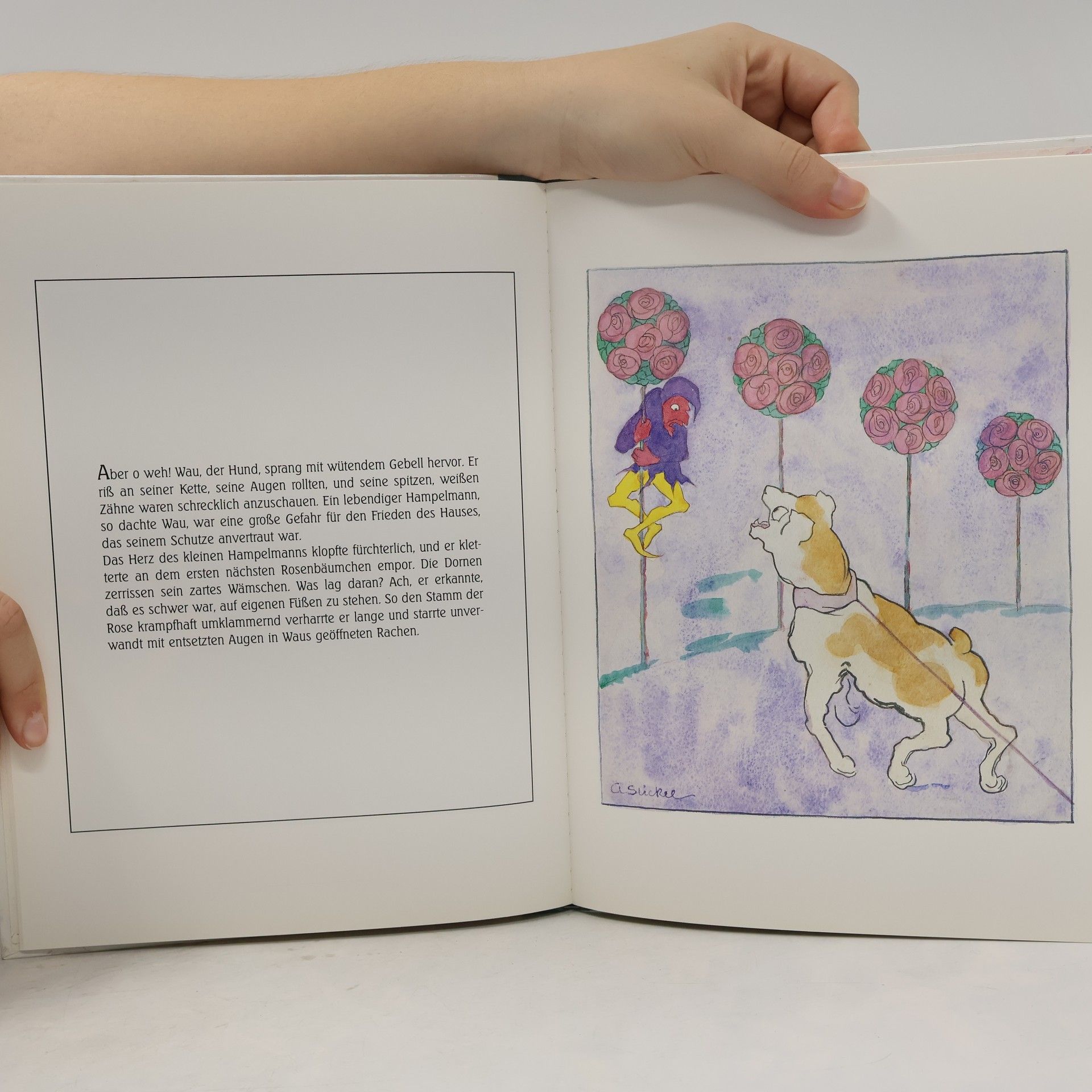 Aline Stickel Hampelmann's Reise