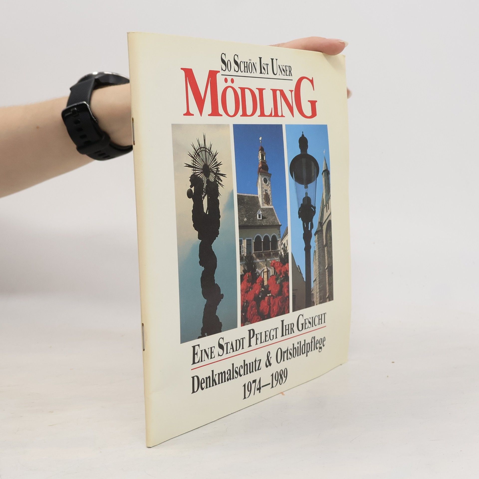 Kolektív autorov So schön ist unser Mödling