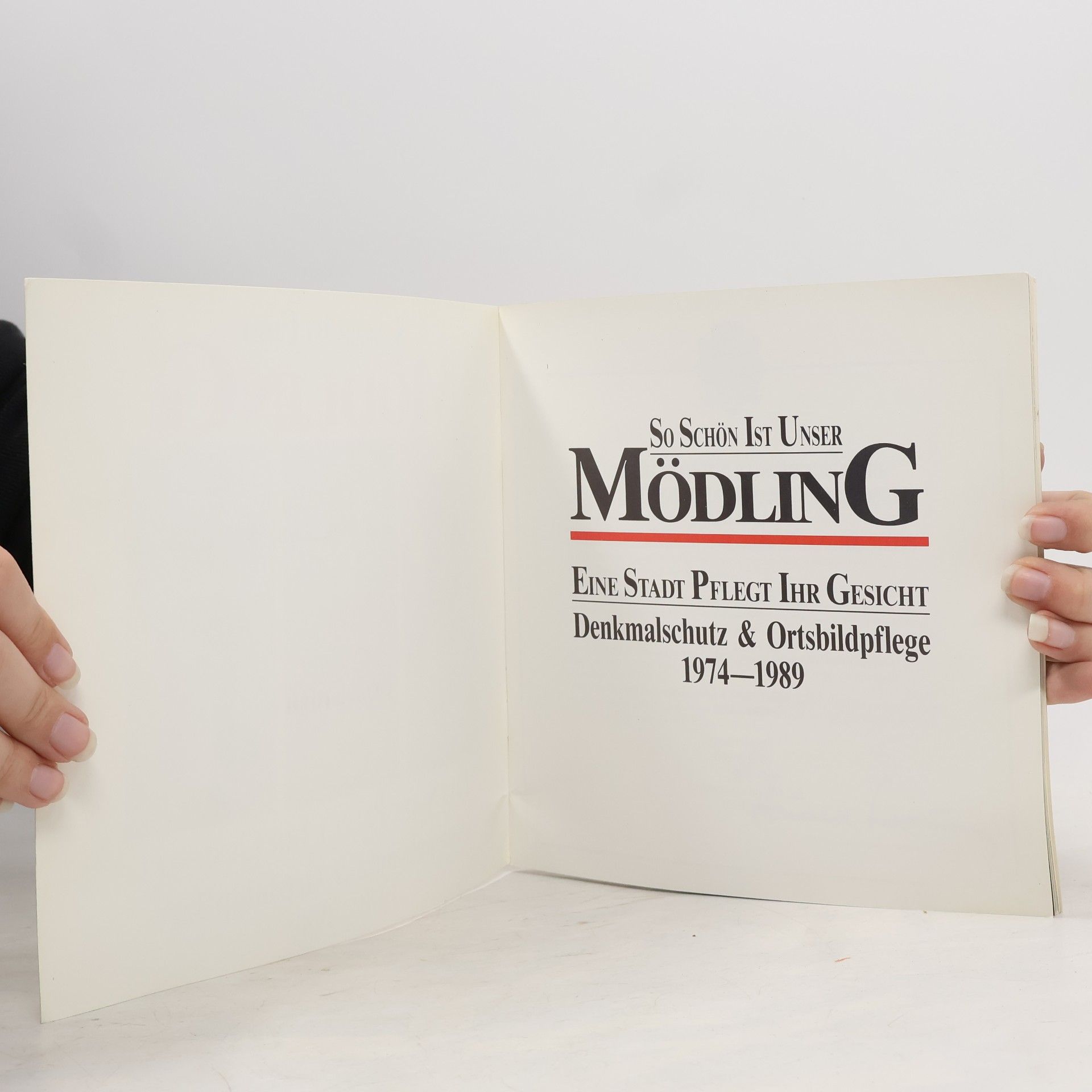 Autorenkollektiv So schön ist unser Mödling