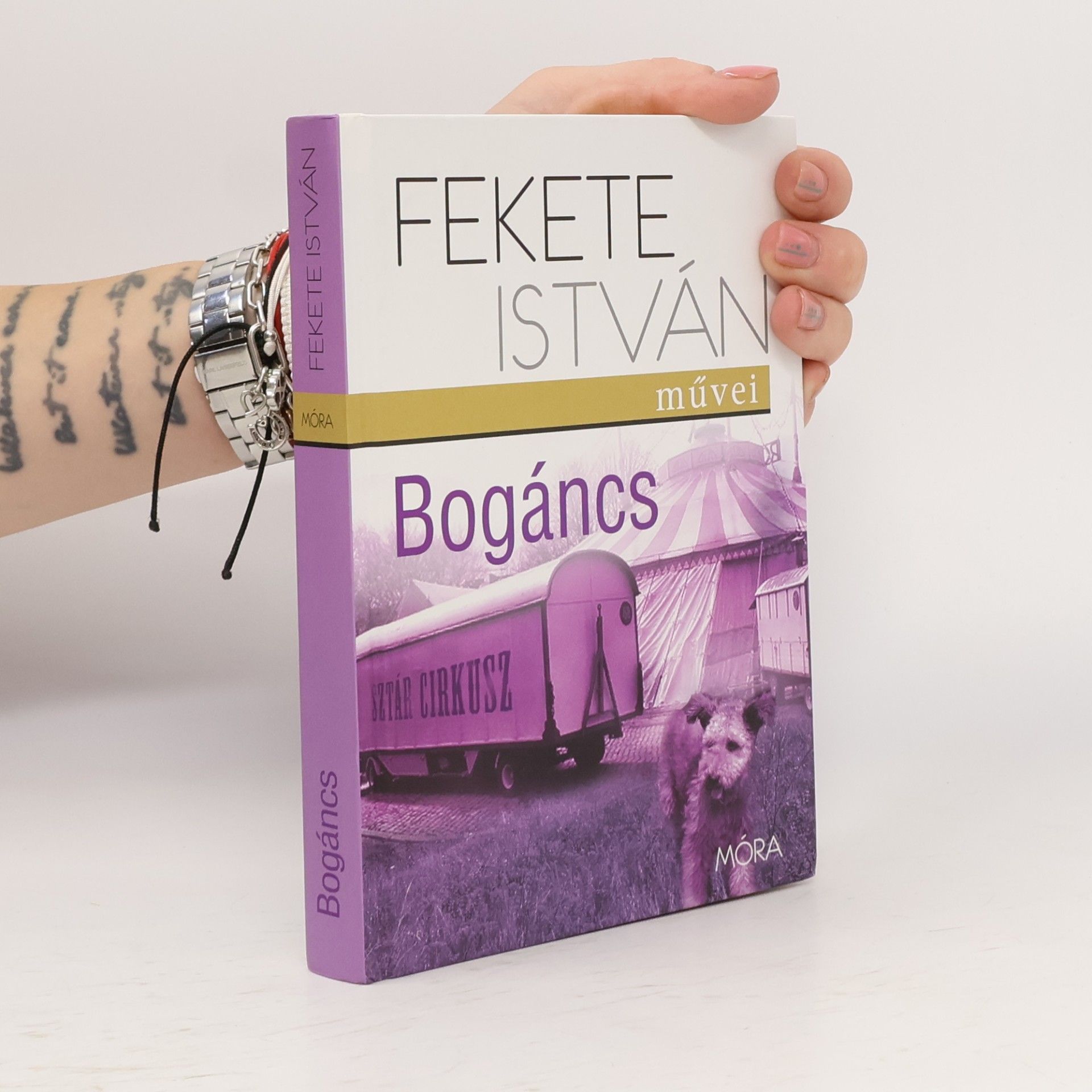 István Fekete Bogáncs