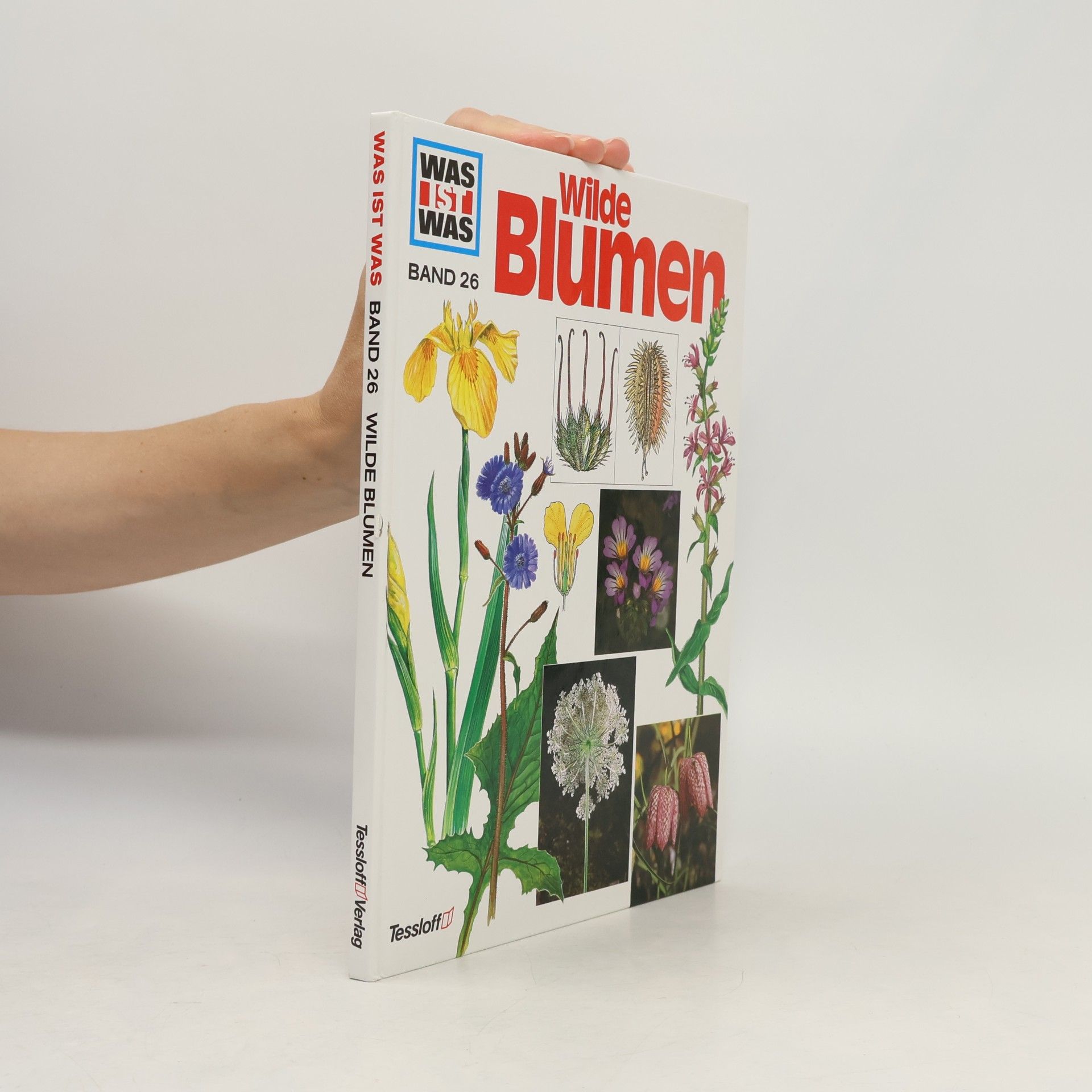 Andreas Zeugner Wilde Blumen 26