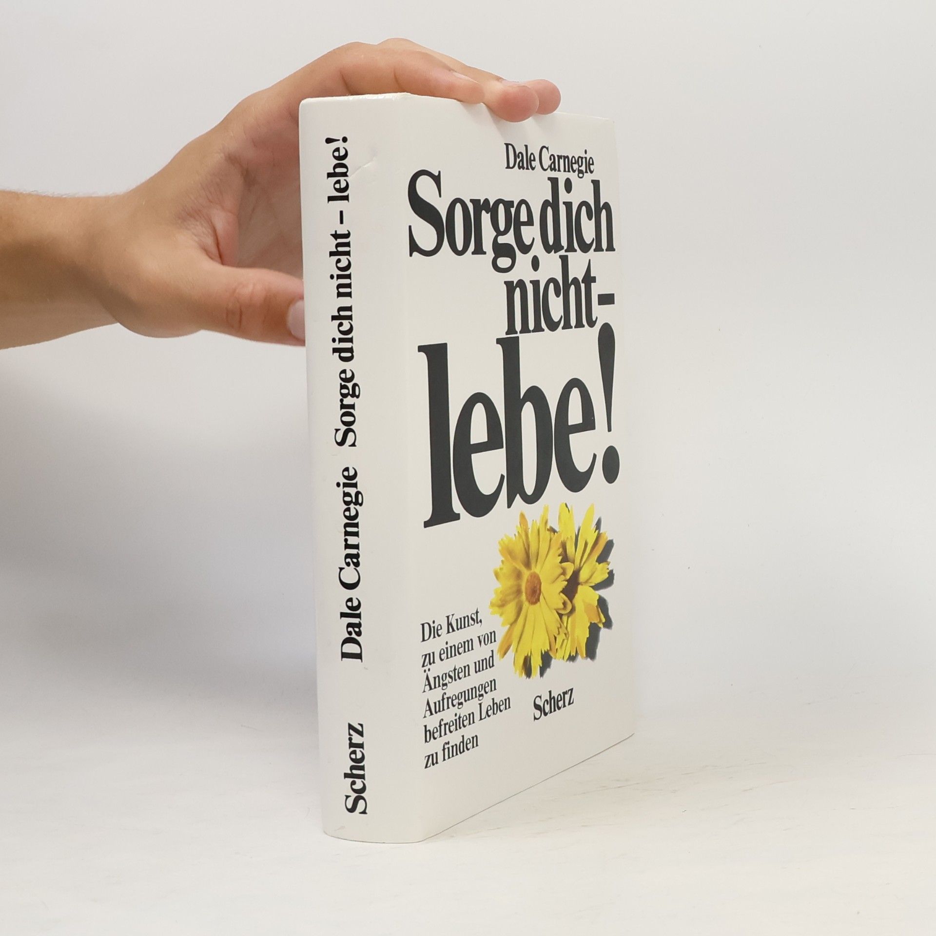 Dale Carnegie Sorge dich nicht - lebe!
