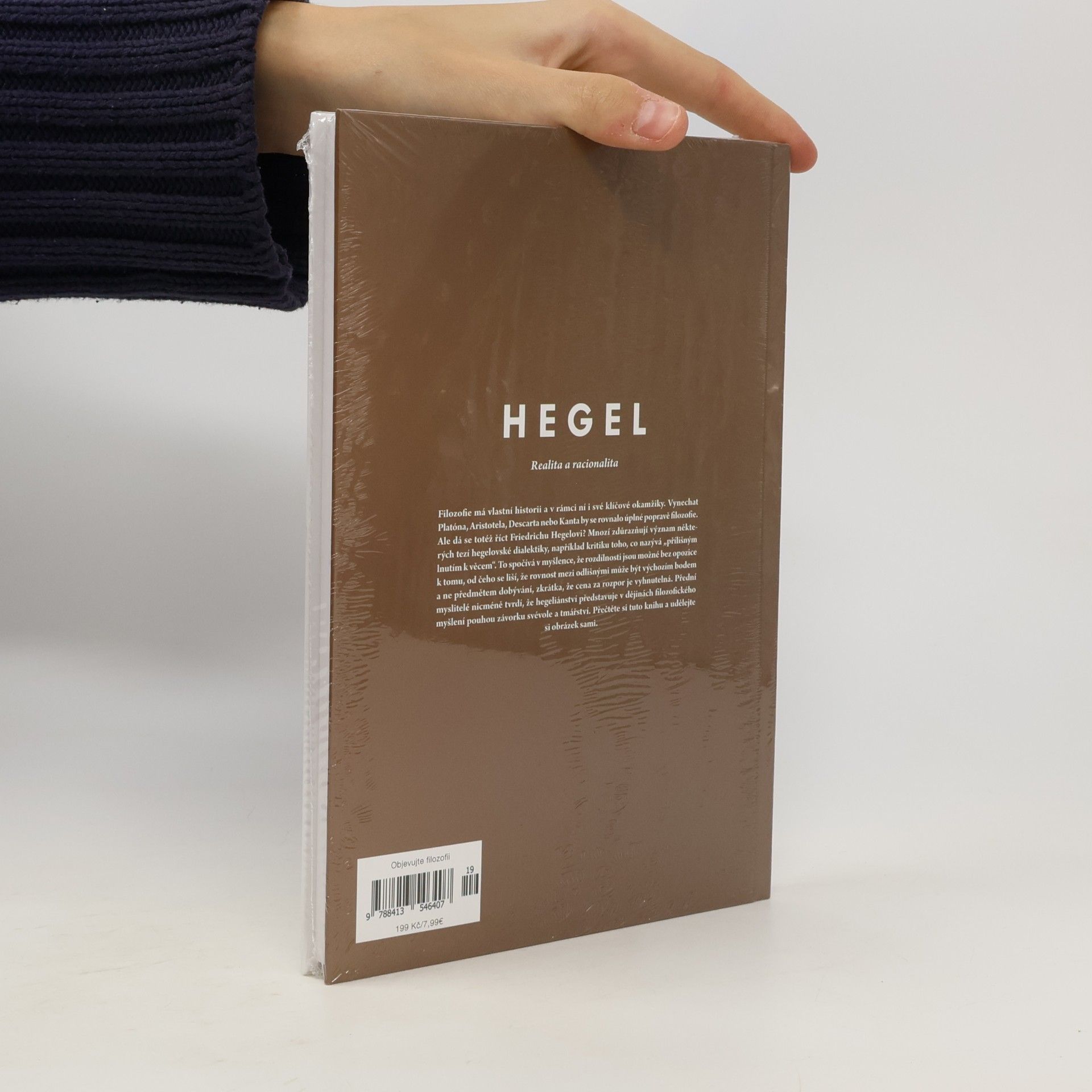 Kolektiv autorů Hegel. Realita a racionalita