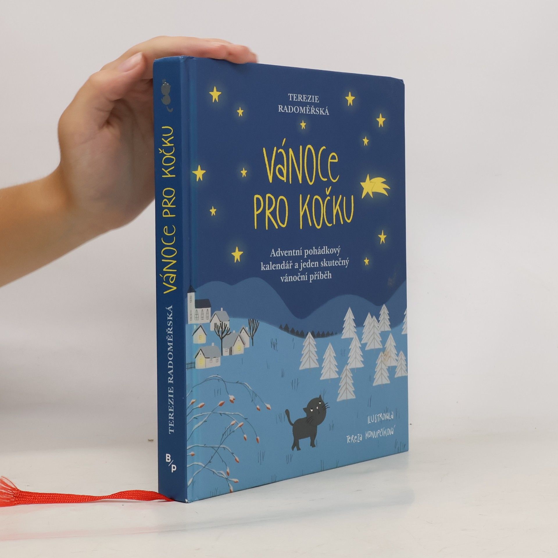 Terezie Radoměřská Vánoce pro kočku