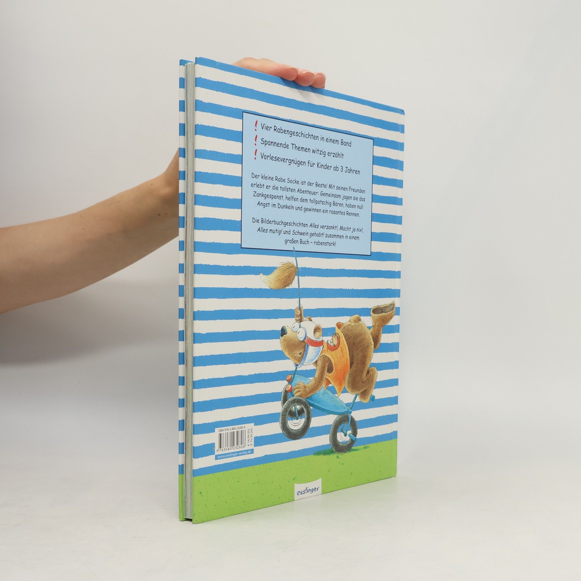 Nele Moost Das neue große Buch vom kleinen Raben Socke
