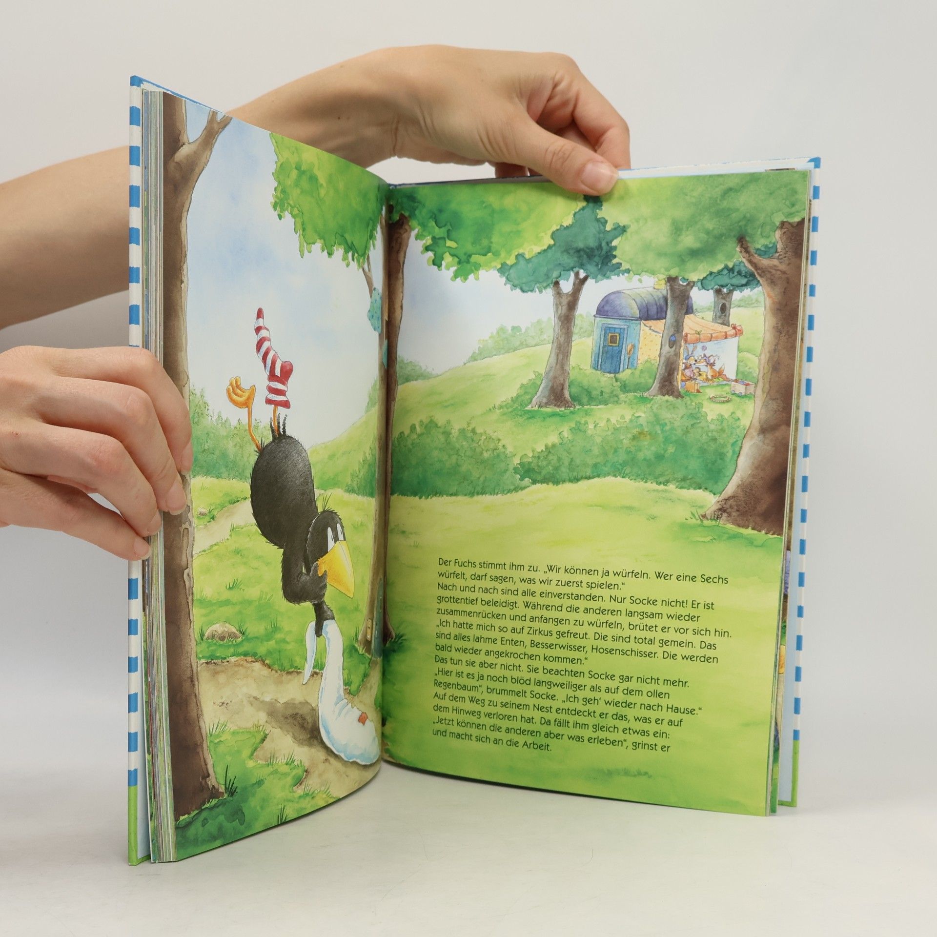 Nele Moost Das neue große Buch vom kleinen Raben Socke