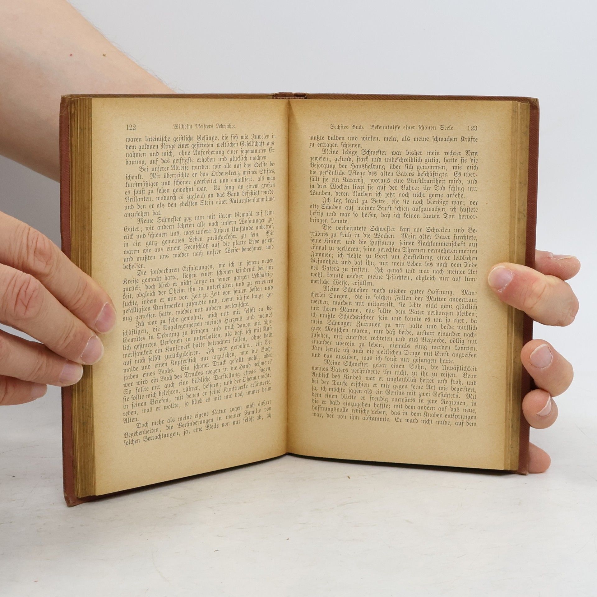 Johann Wolfgang von Goethe Goethes sämtliche Werke 7