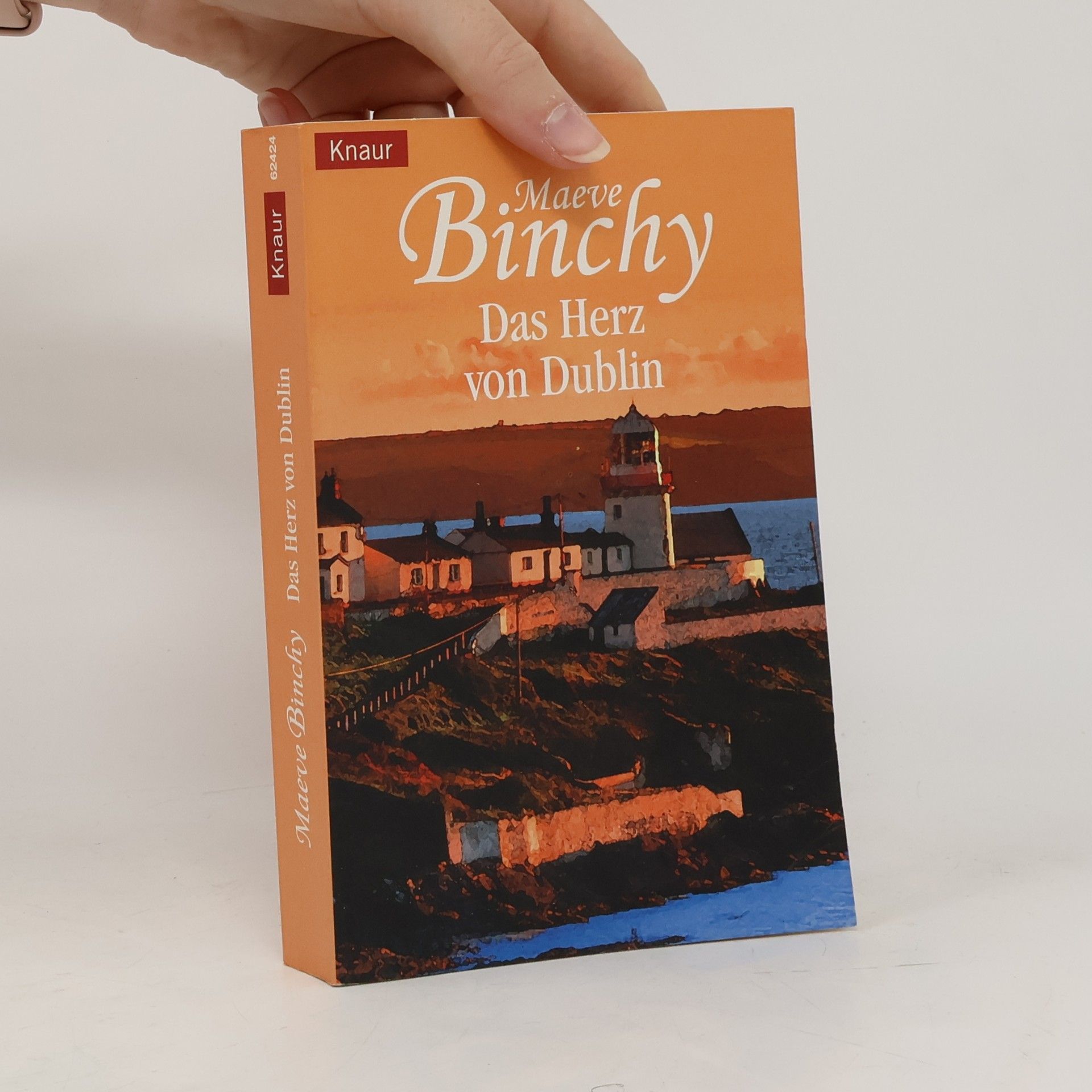 Maeve Binchy Das Herz von Dublin