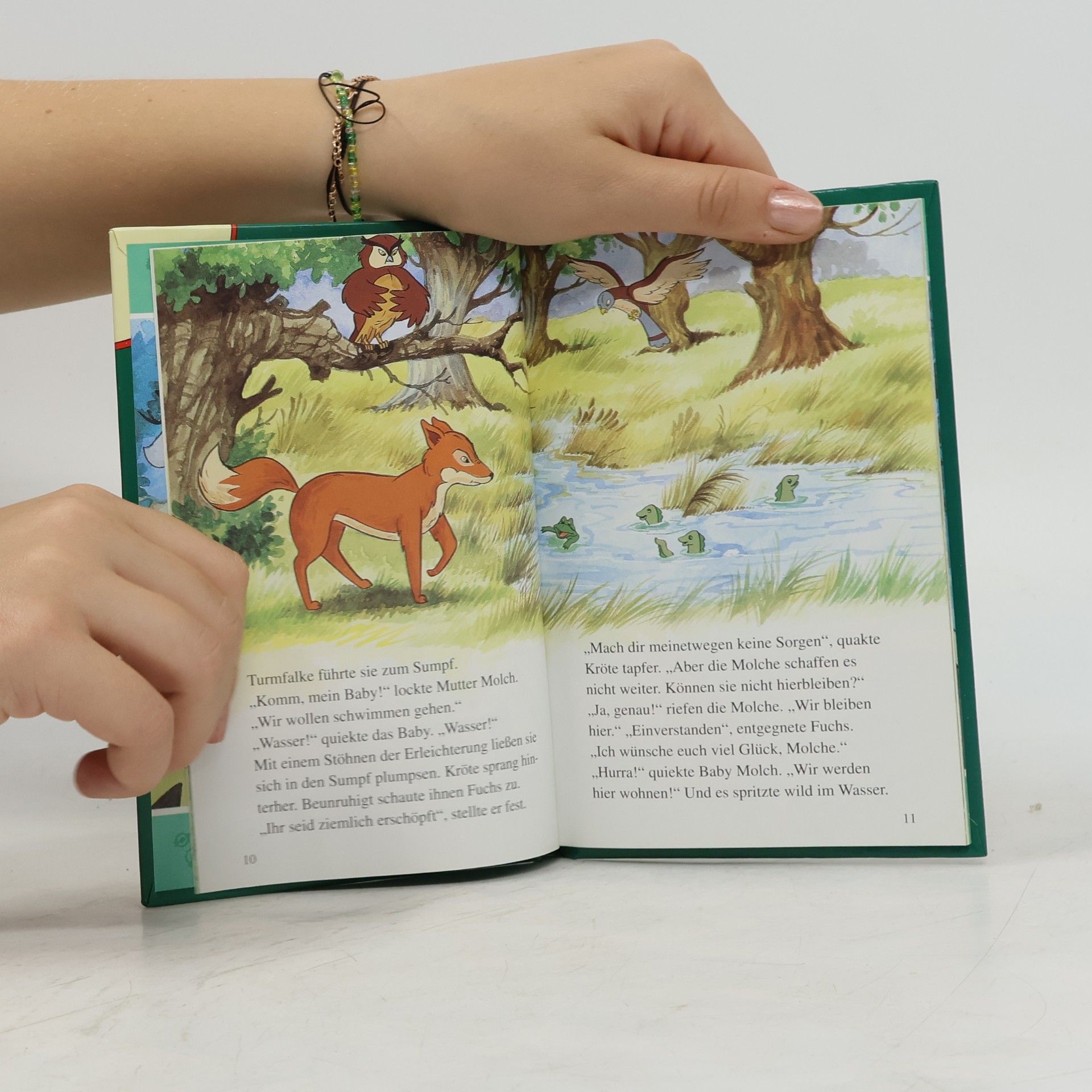 Collectif d'auteurs Der Wald brennt