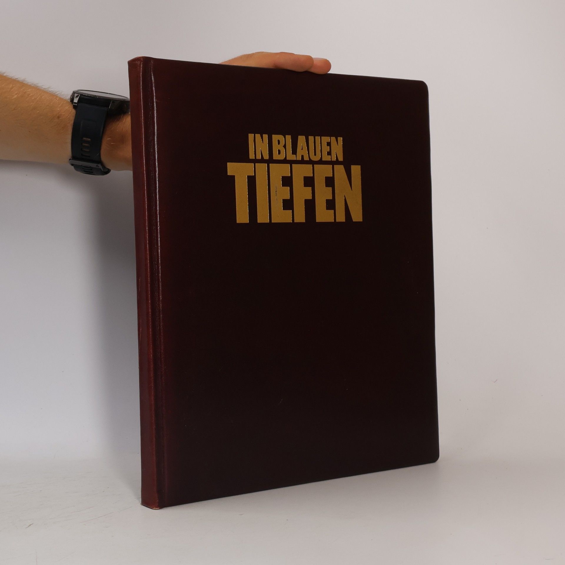 Peter Kühn In blauen Tiefen