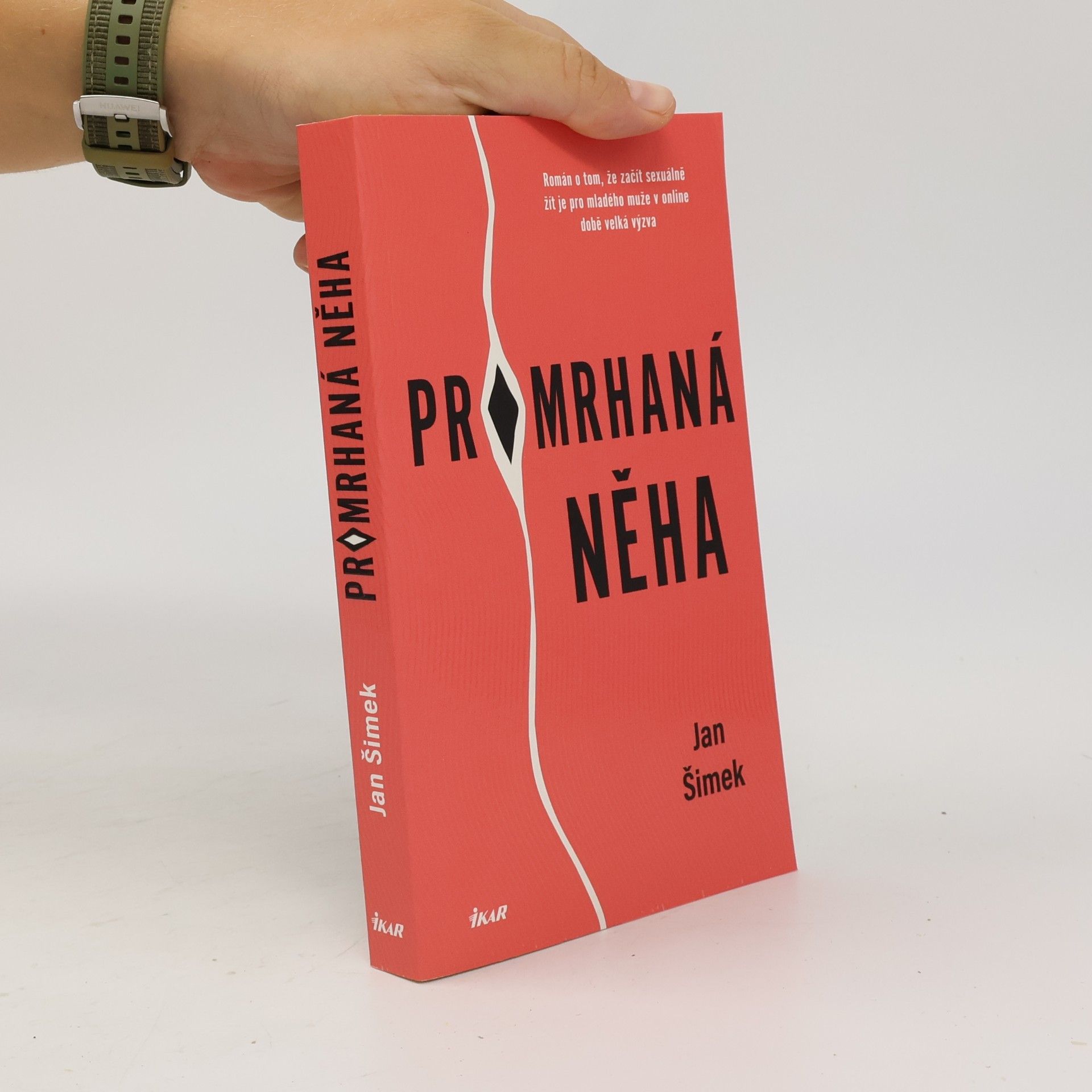 Jan Šimek Promrhaná něha