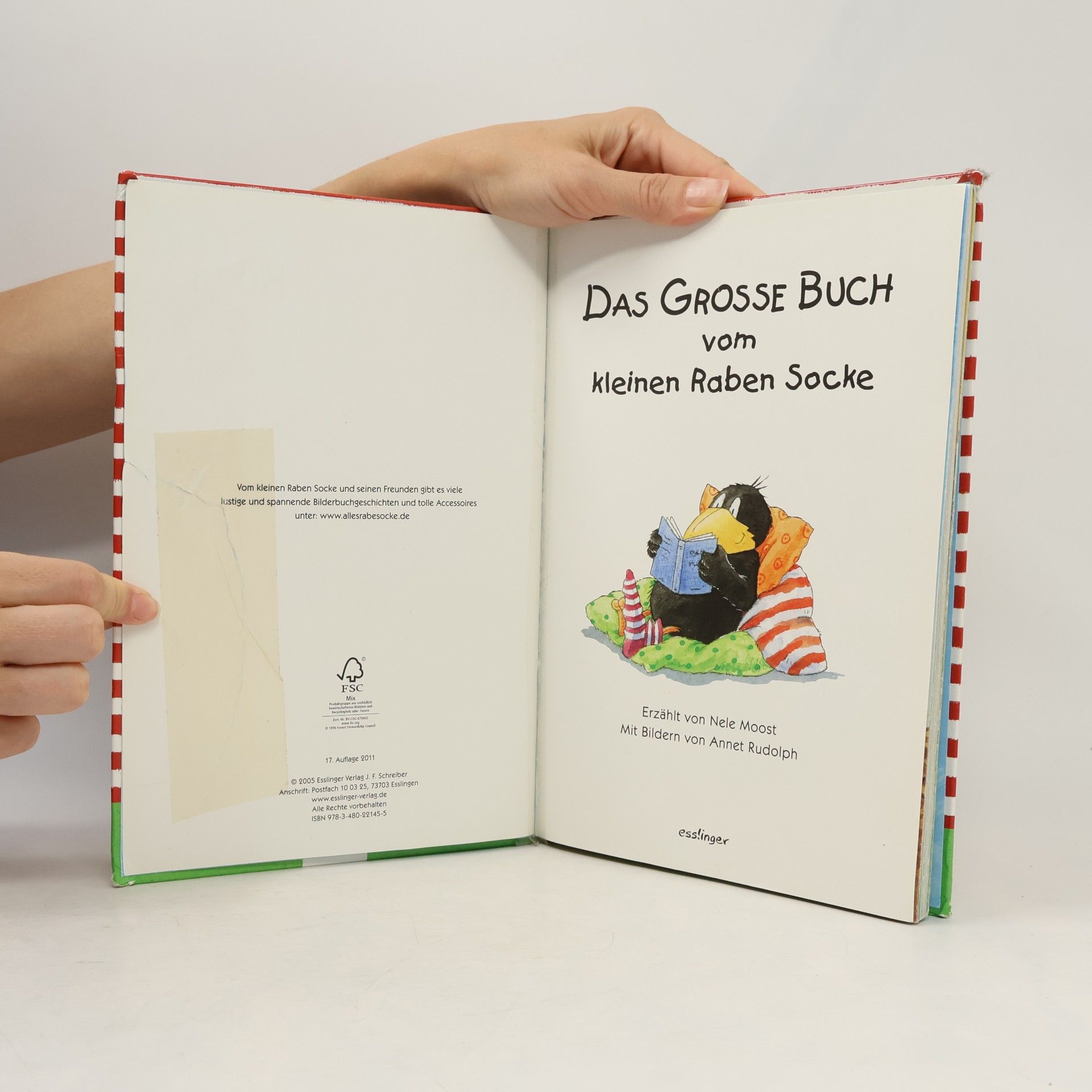 Nele Moost Das große Buch vom kleinen Raben Socke