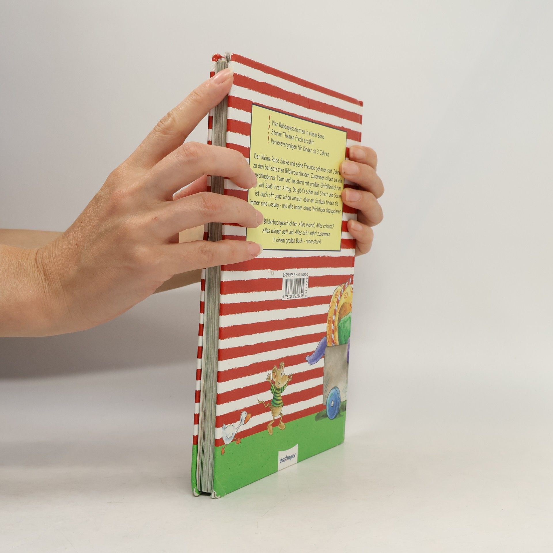 Nele Moost Das große Buch vom kleinen Raben Socke