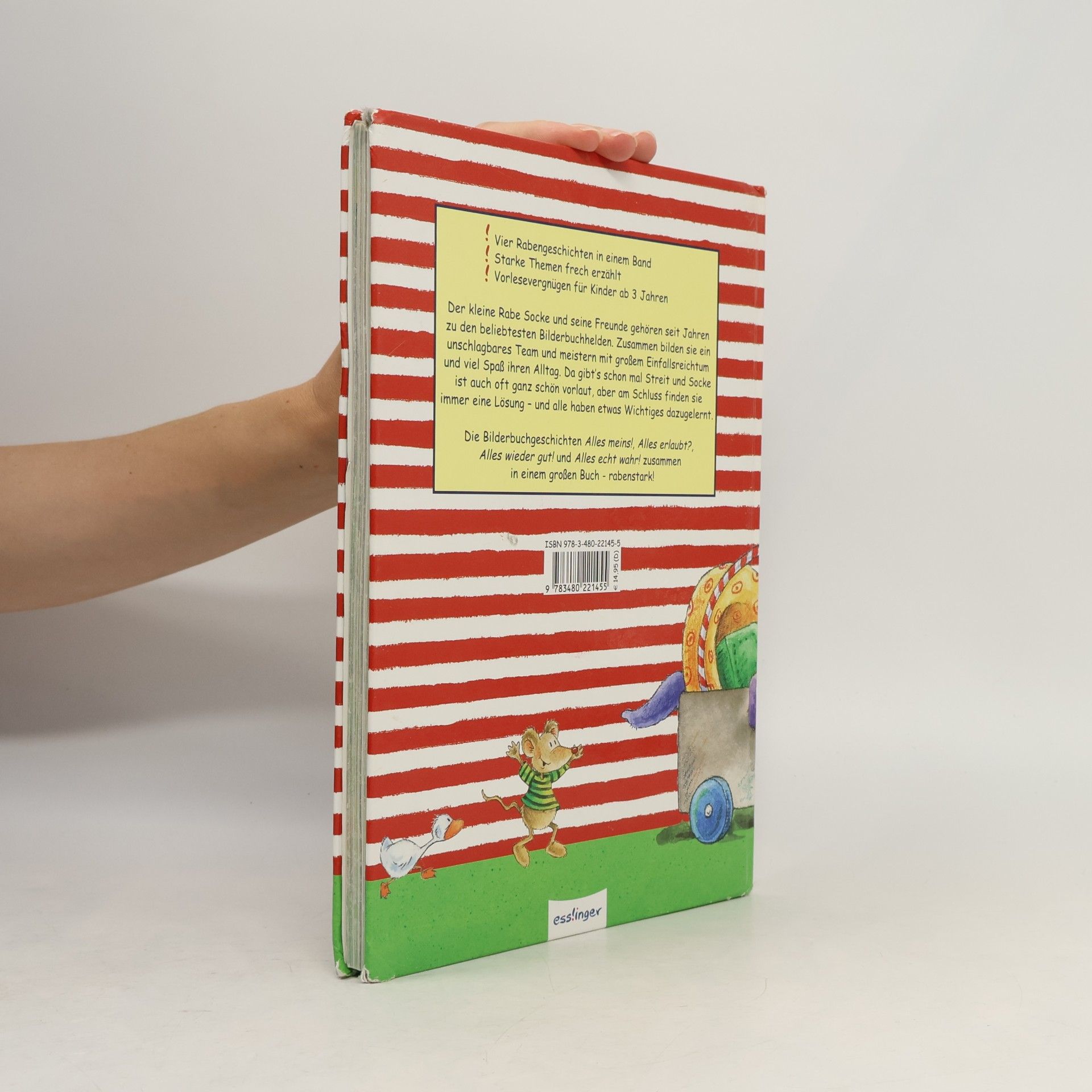 Nele Moost Das große Buch vom kleinen Raben Socke