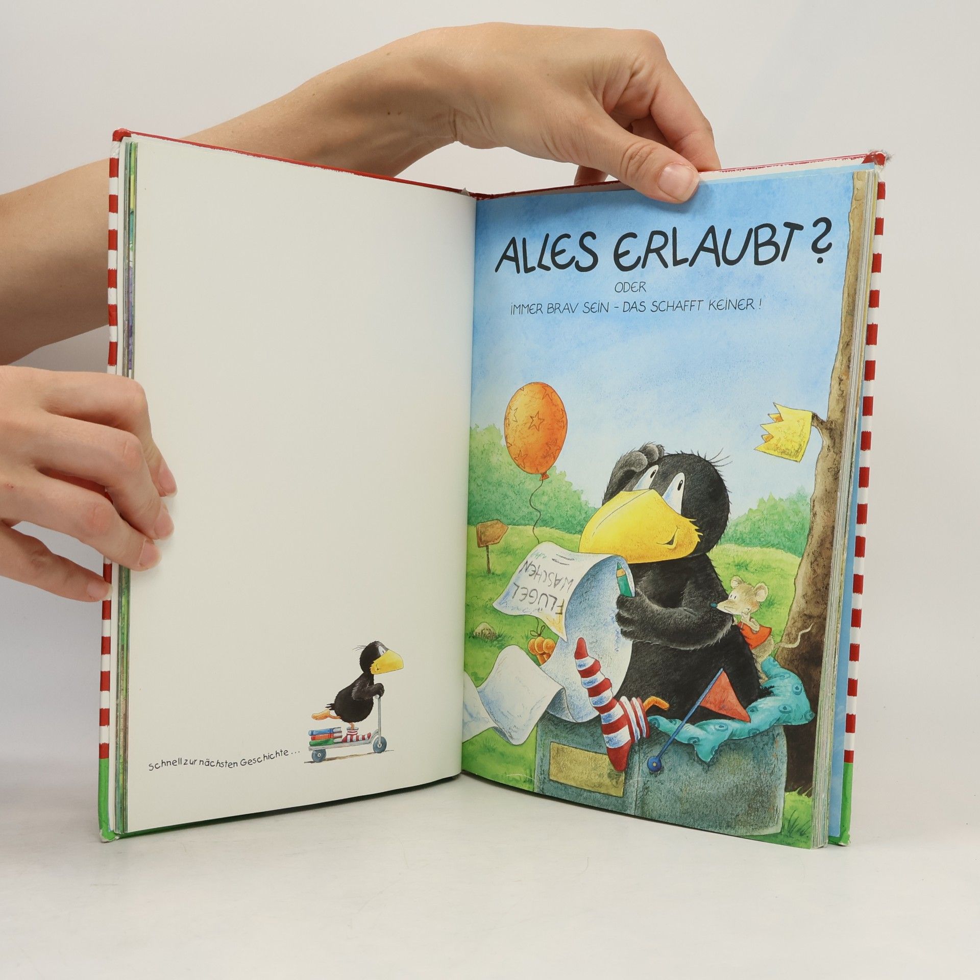 Nele Moost Das große Buch vom kleinen Raben Socke