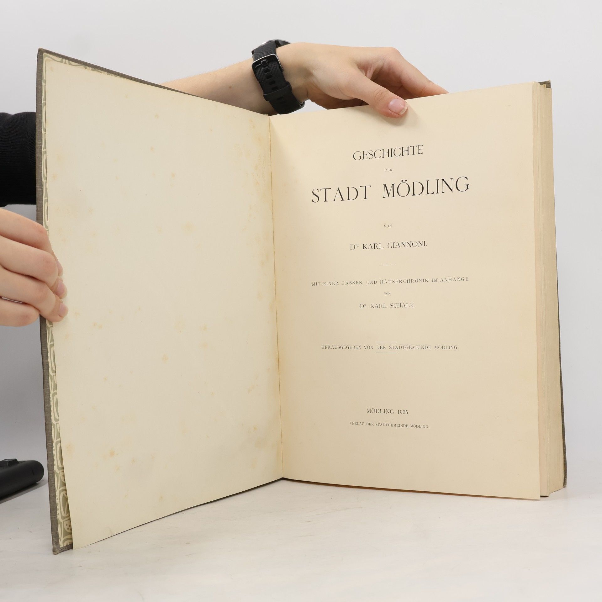Karl Giannoni Geschichte der Stadt Mödling