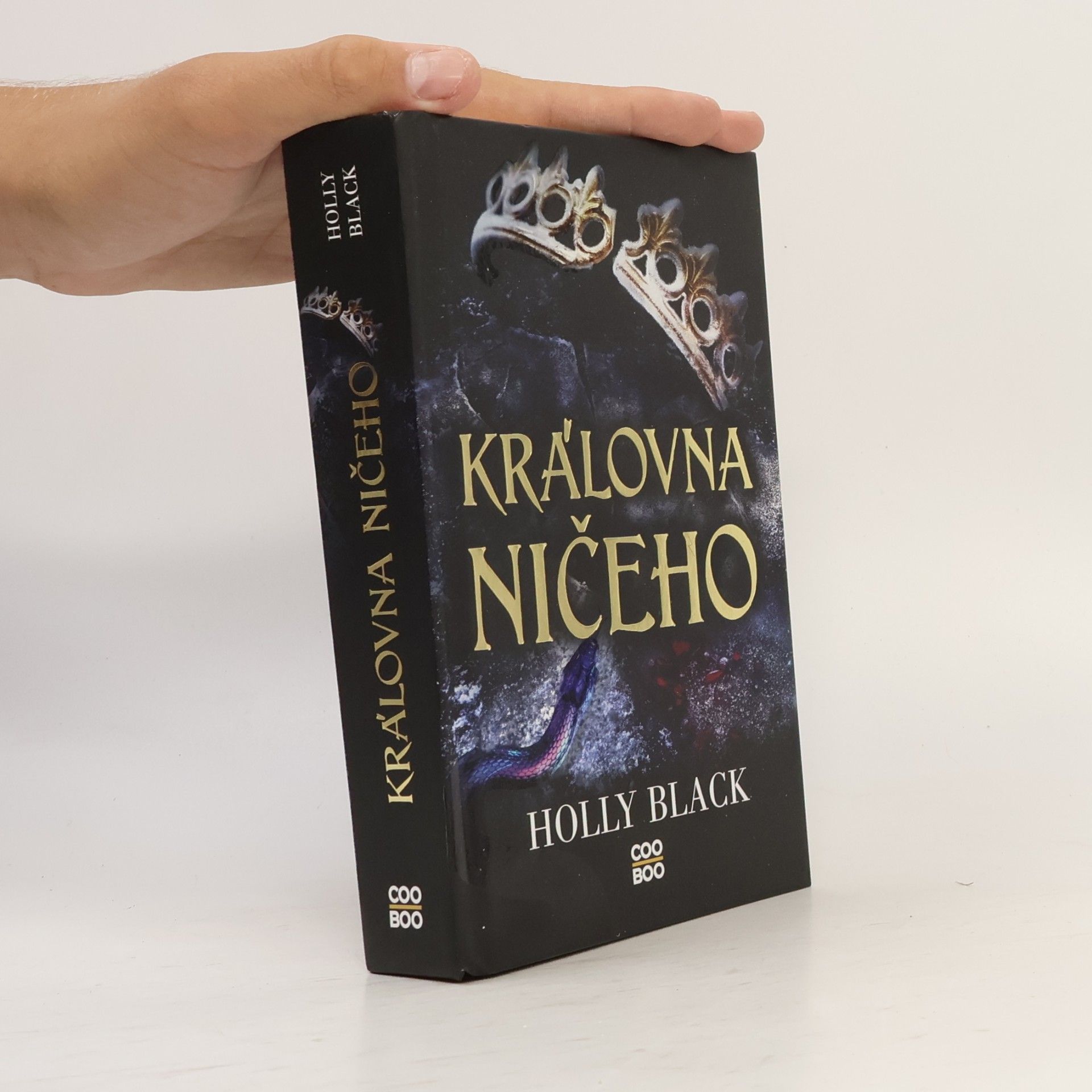 Holly Black Královna ničeho