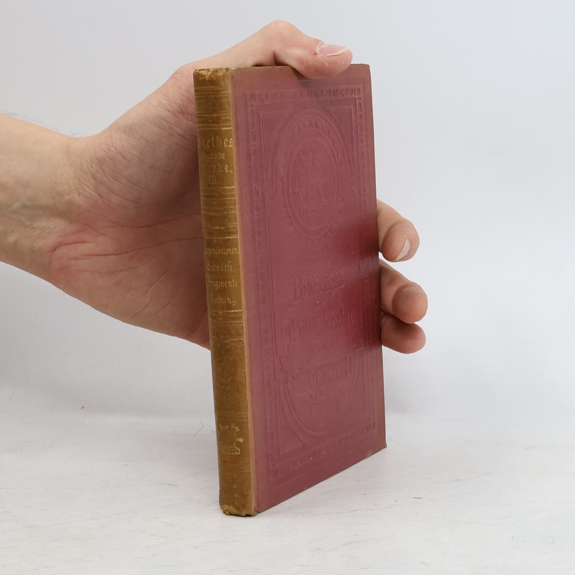 Johann Wolfgang von Goethe Goethes Sämtliche Werke 13