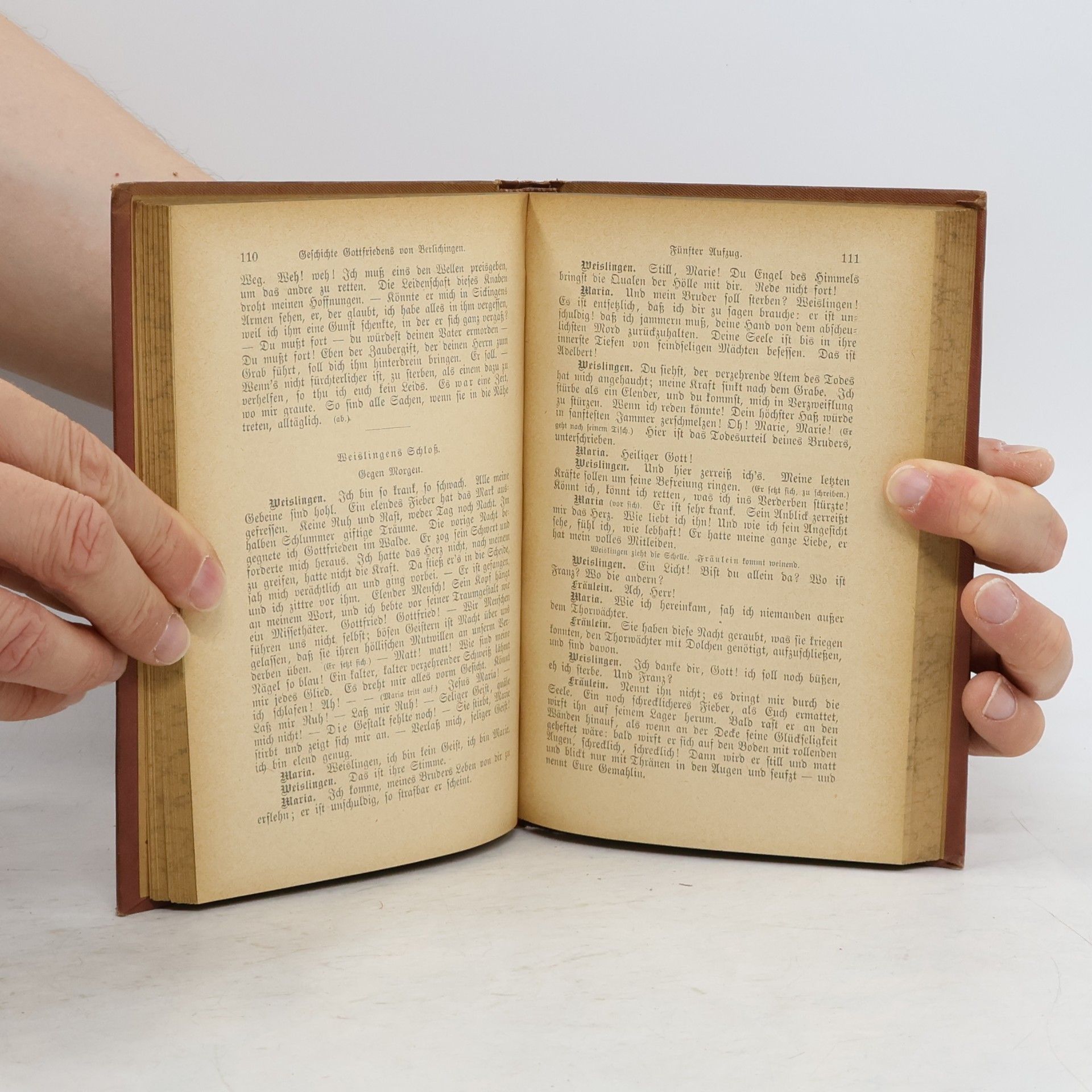 Johann Wolfgang von Goethe Goethes Sämtliche Werke 13