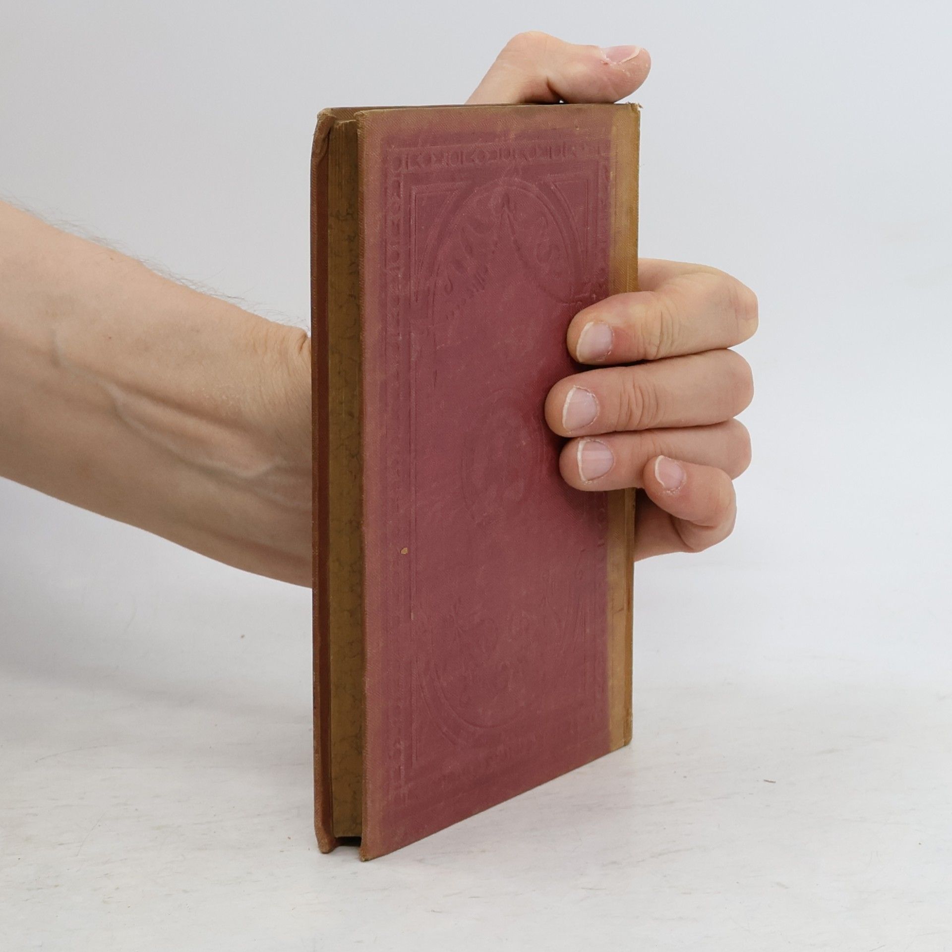 Franz Schulz Goethes Sämtliche Werke 11