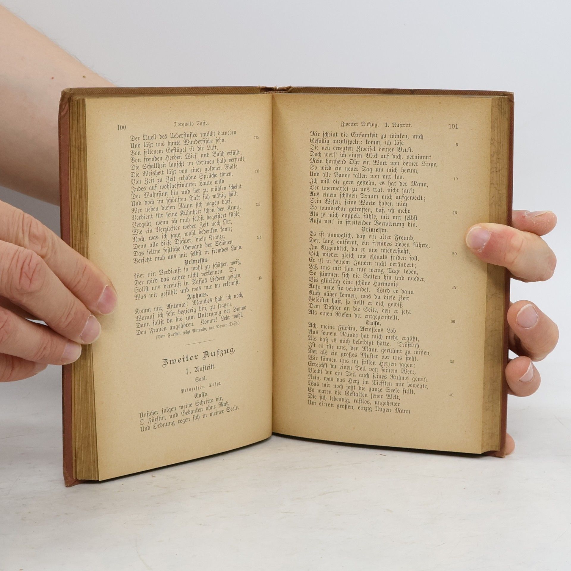 Franz Schulz Goethes Sämtliche Werke 11