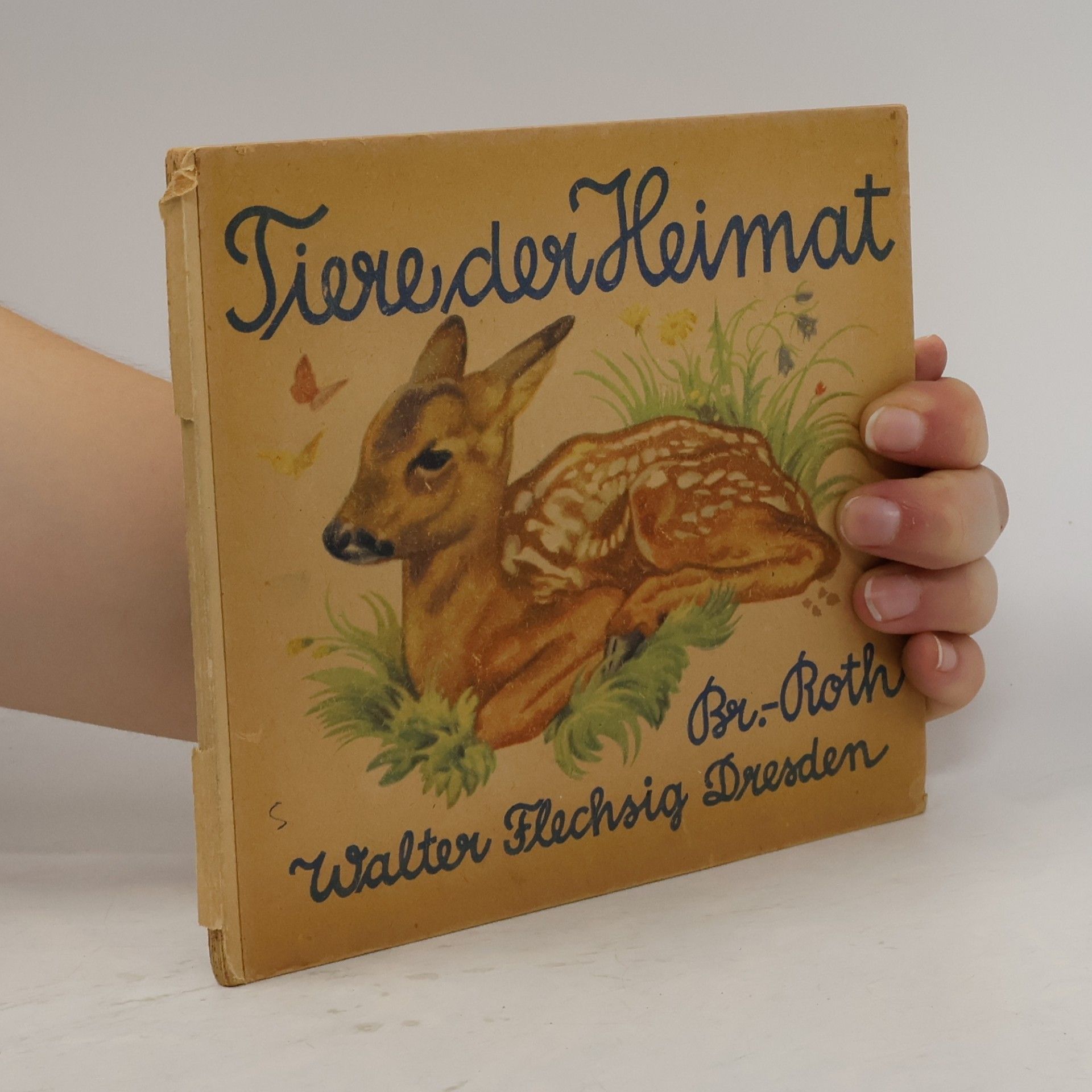 kolektiv Tiere der Heimat