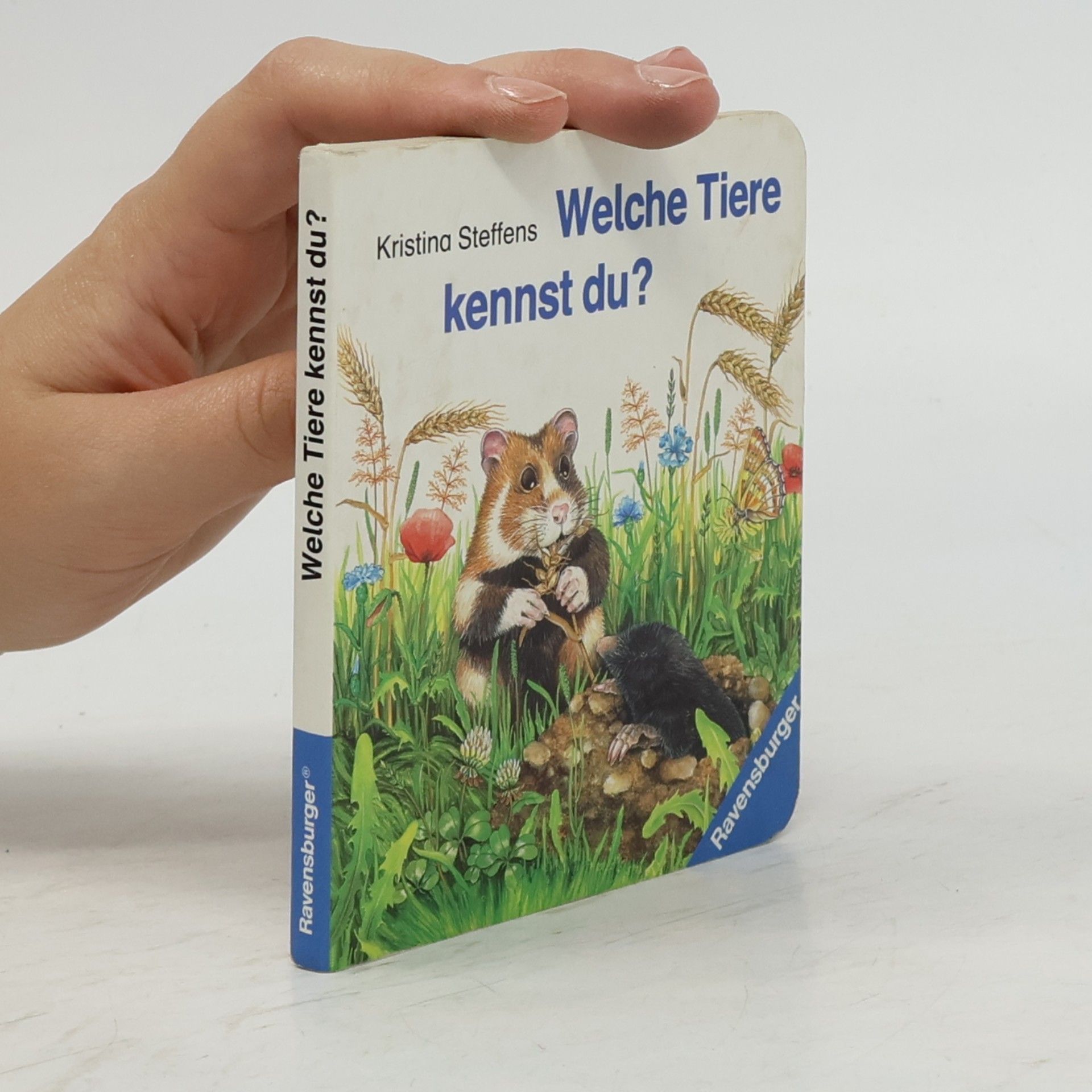 Welche Tiere kennst du? - Miniaturbuch