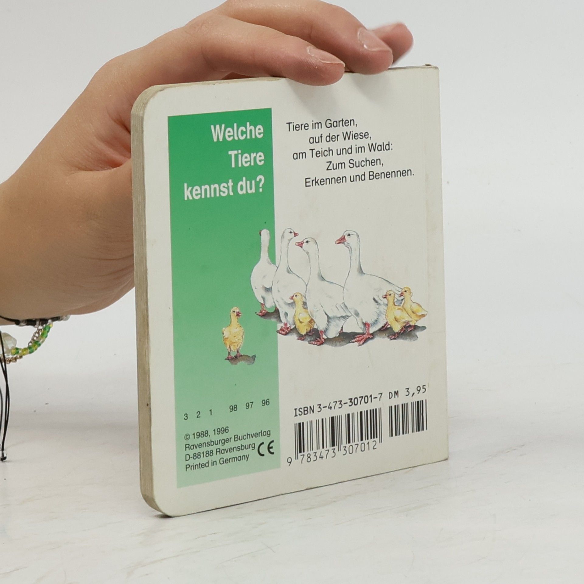 Kristina Steffens Welche Tiere kennst du? - Miniaturbuch