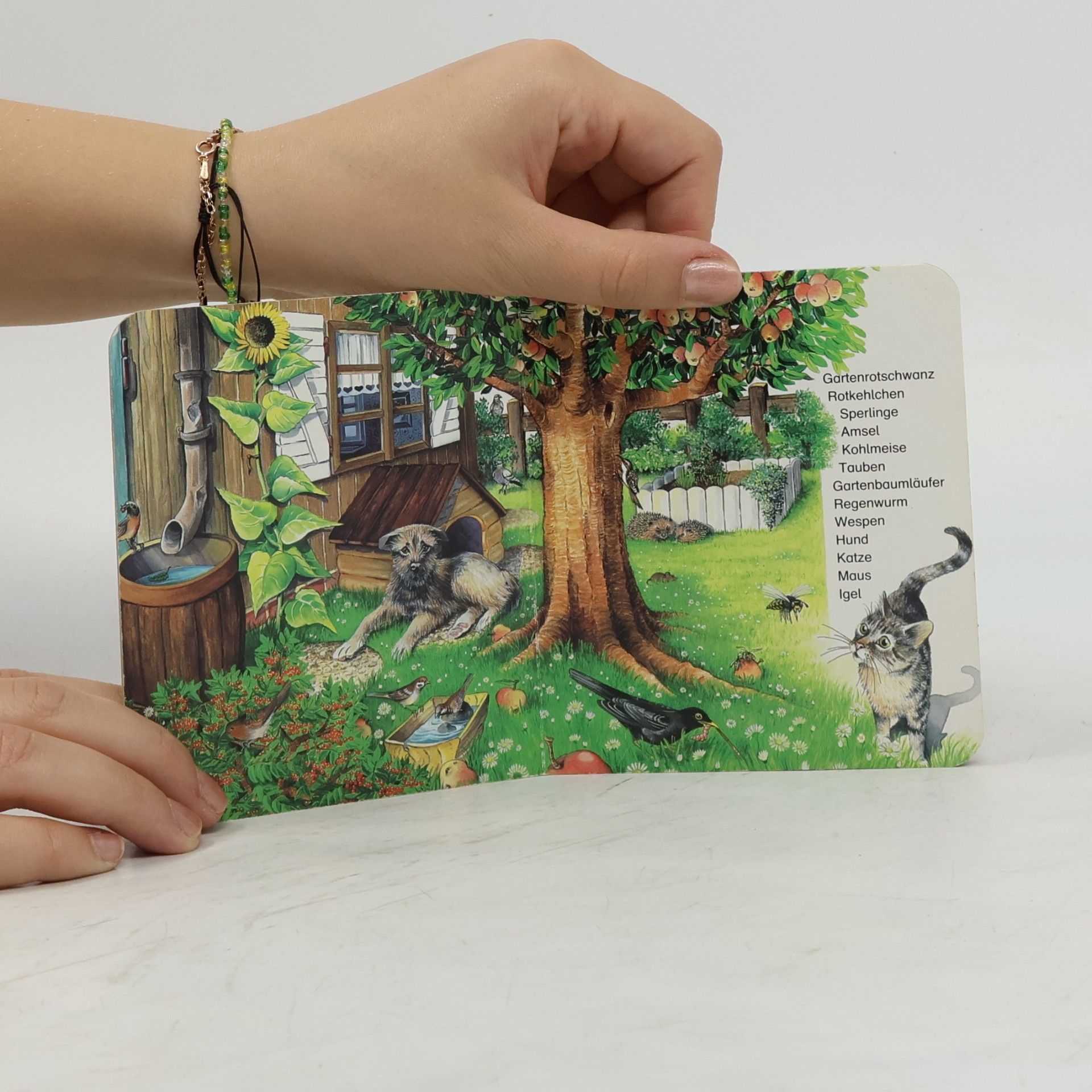 Kristina Steffens Welche Tiere kennst du? - Miniaturbuch