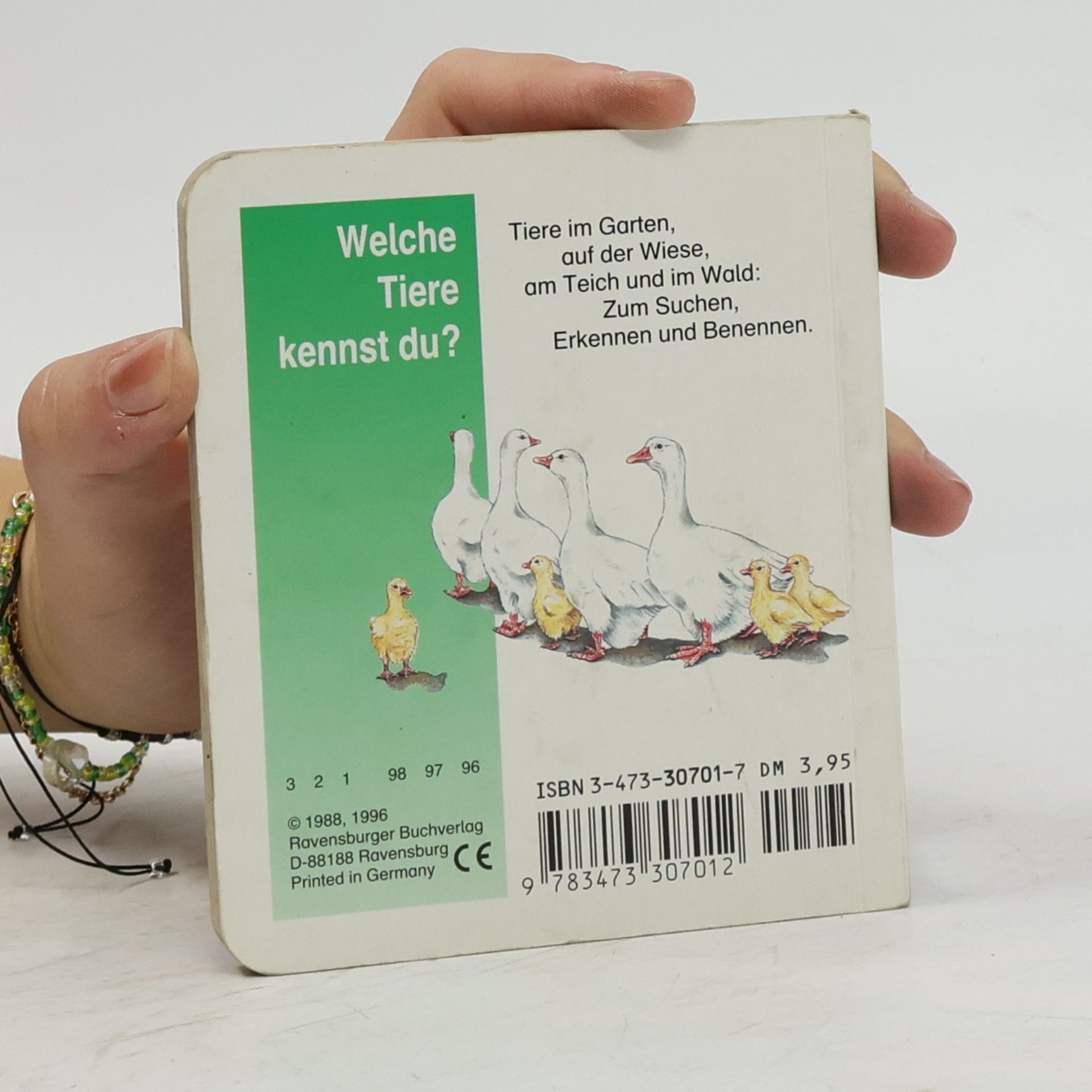 Kristina Steffens Welche Tiere kennst du? - Miniaturbuch