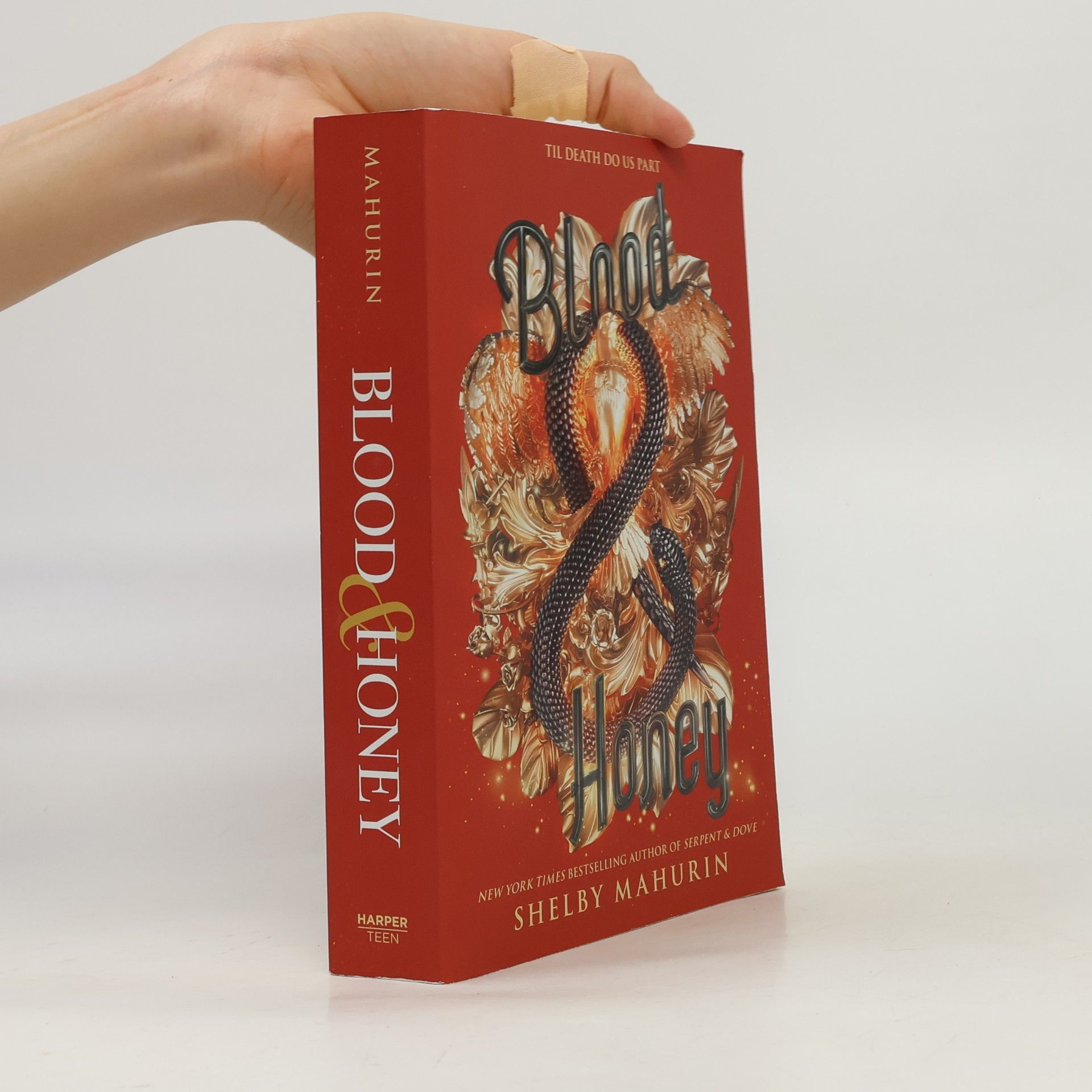 Shelby Mahurin Blood & Honey