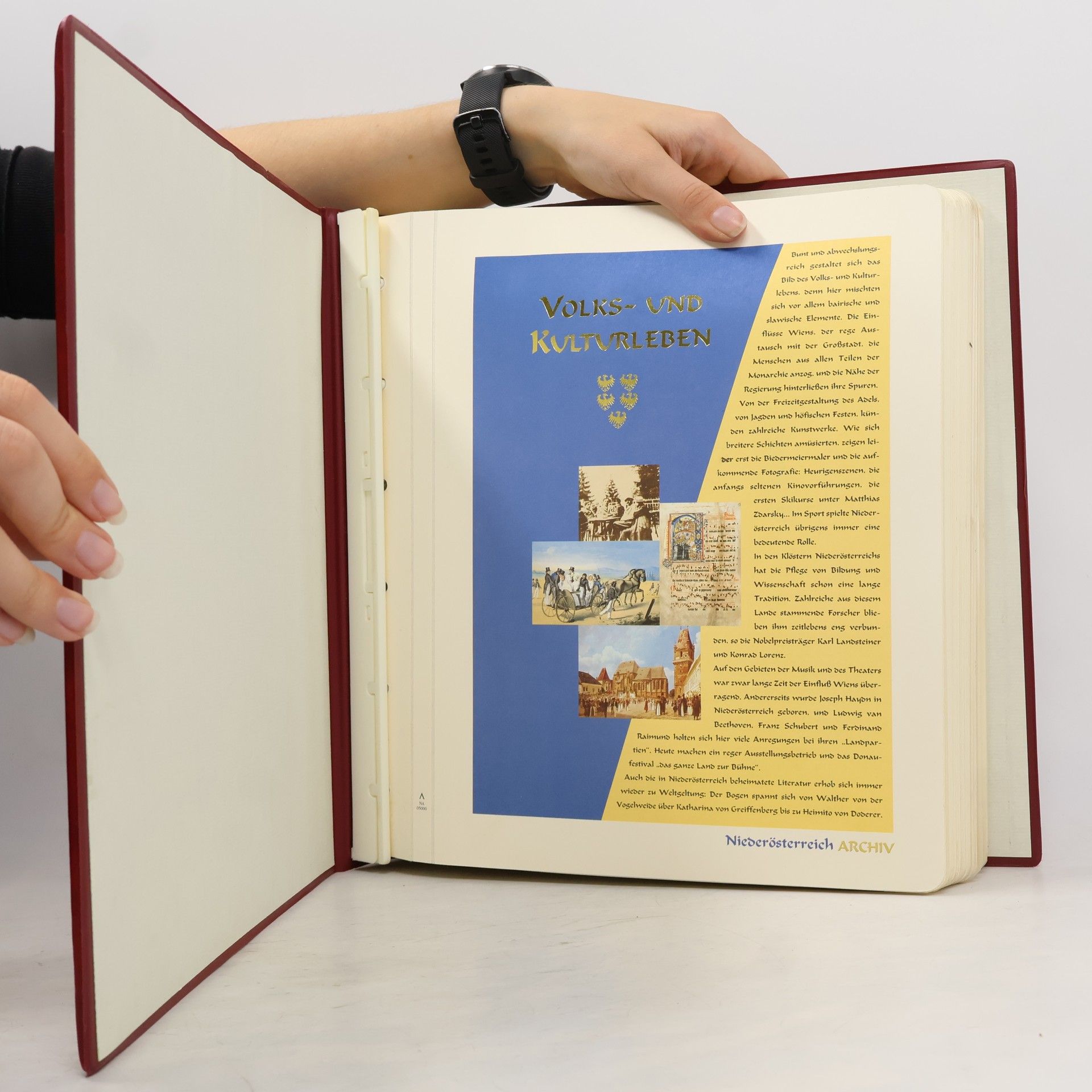Autorenkollektiv Niederösterreich Archiv